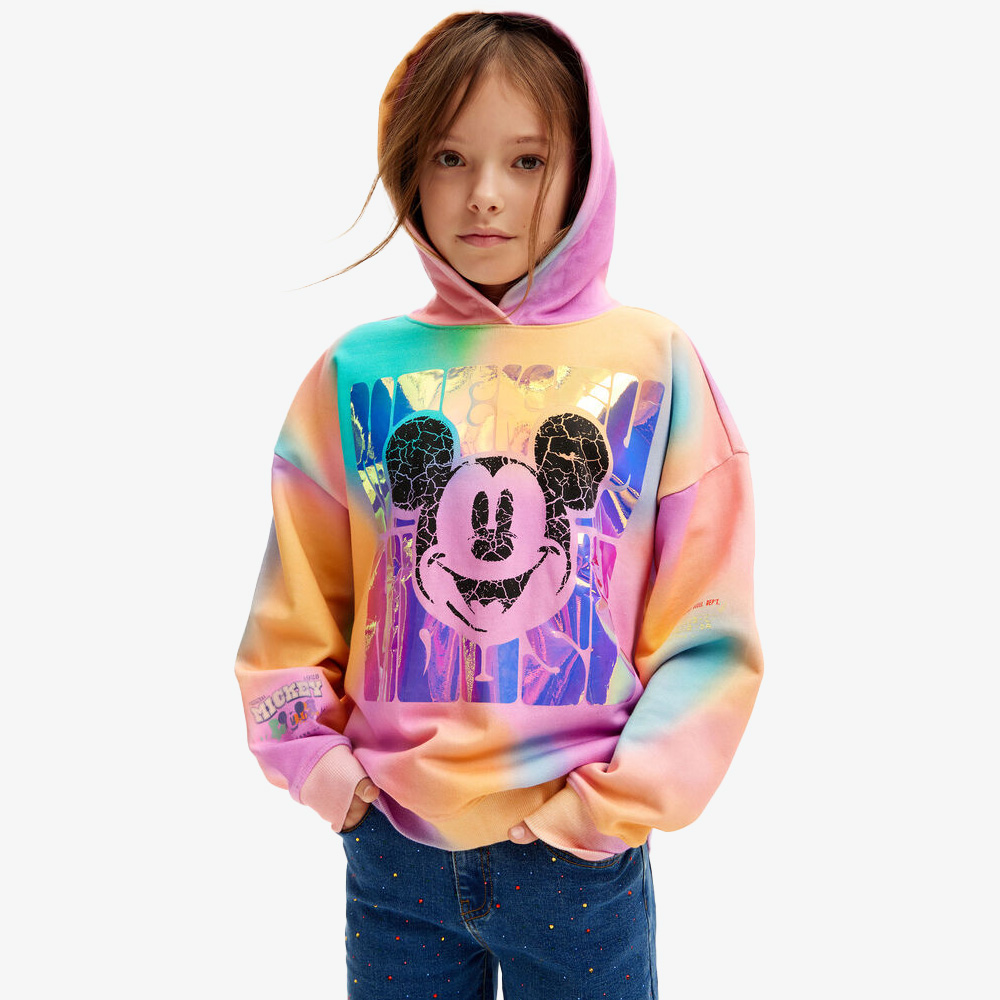 Sweatshirt BONNIE Desigual 3058 0