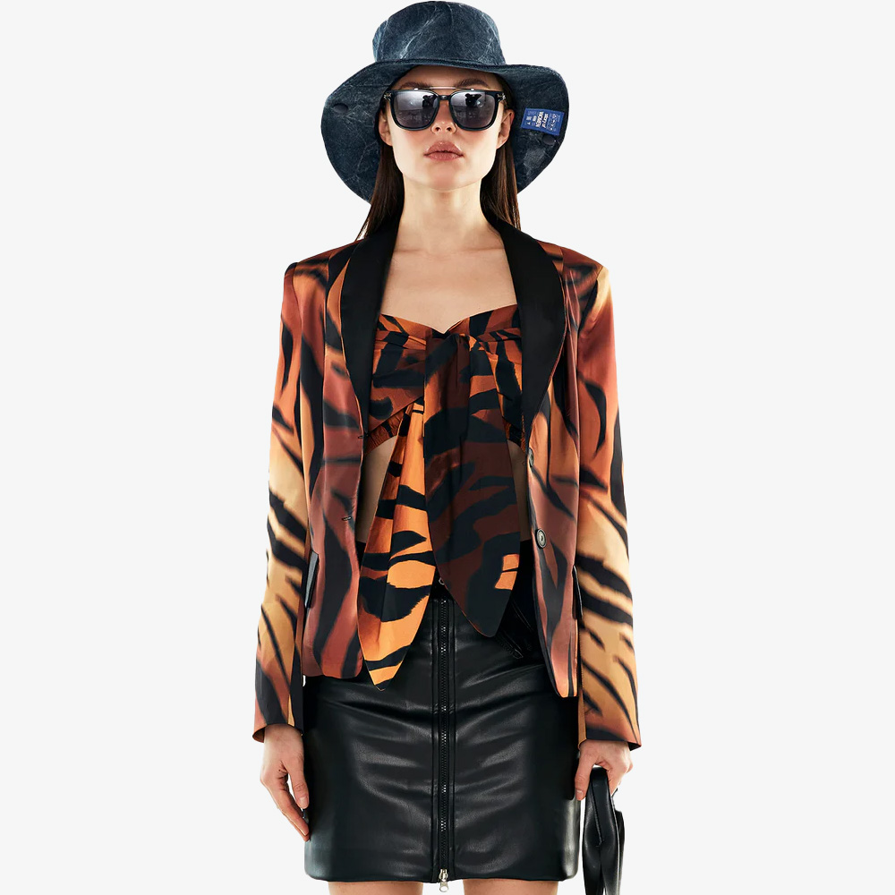 Blazer 11361 VDR Leo 0