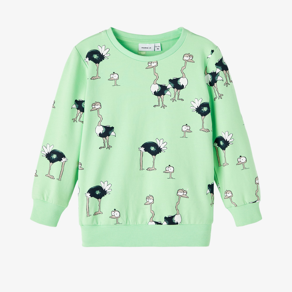 Sweatshirt NMMFRILO Name It Green Ash 0
