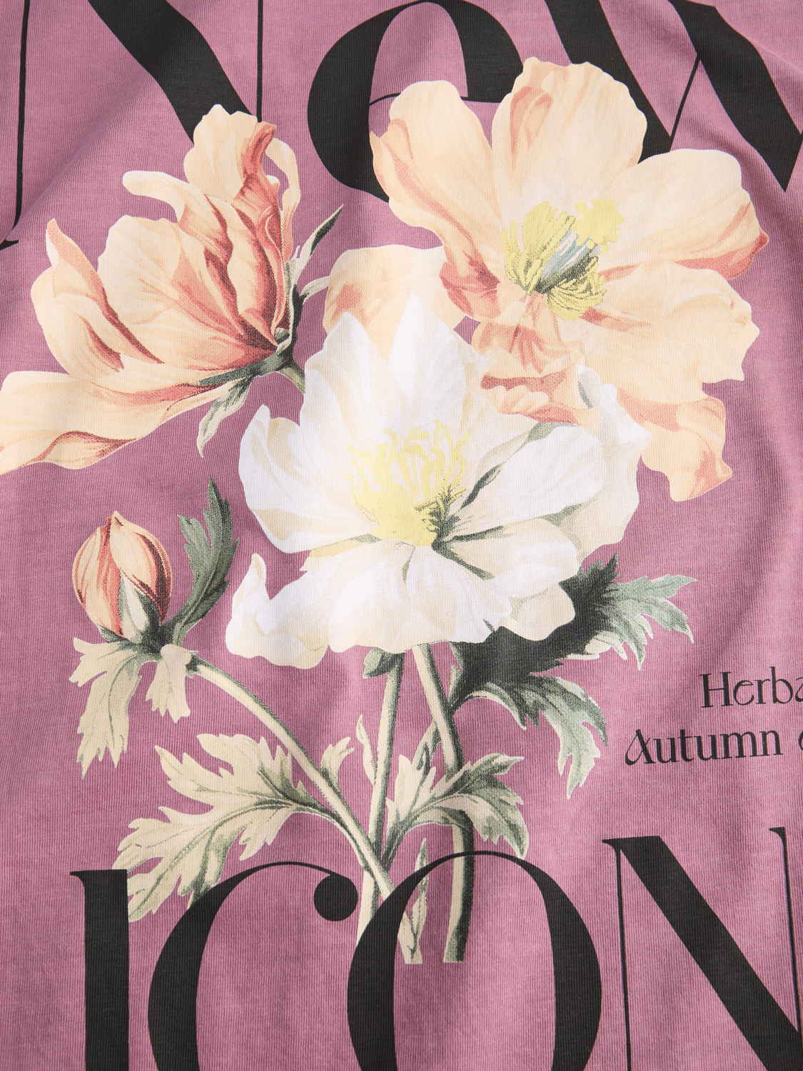 T-shirt JXSANDRA JJXX Cabernet 1