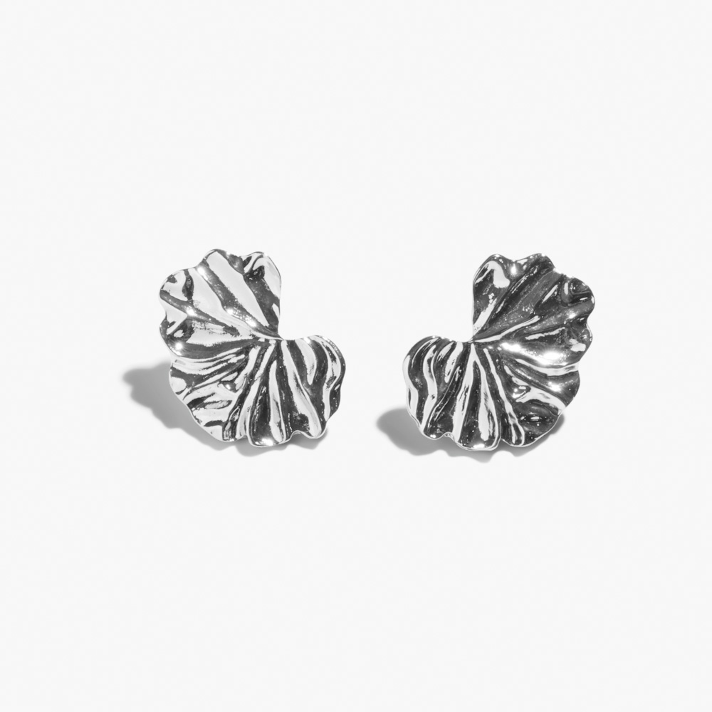 Brincos PCKRILL Pieces Silver 0