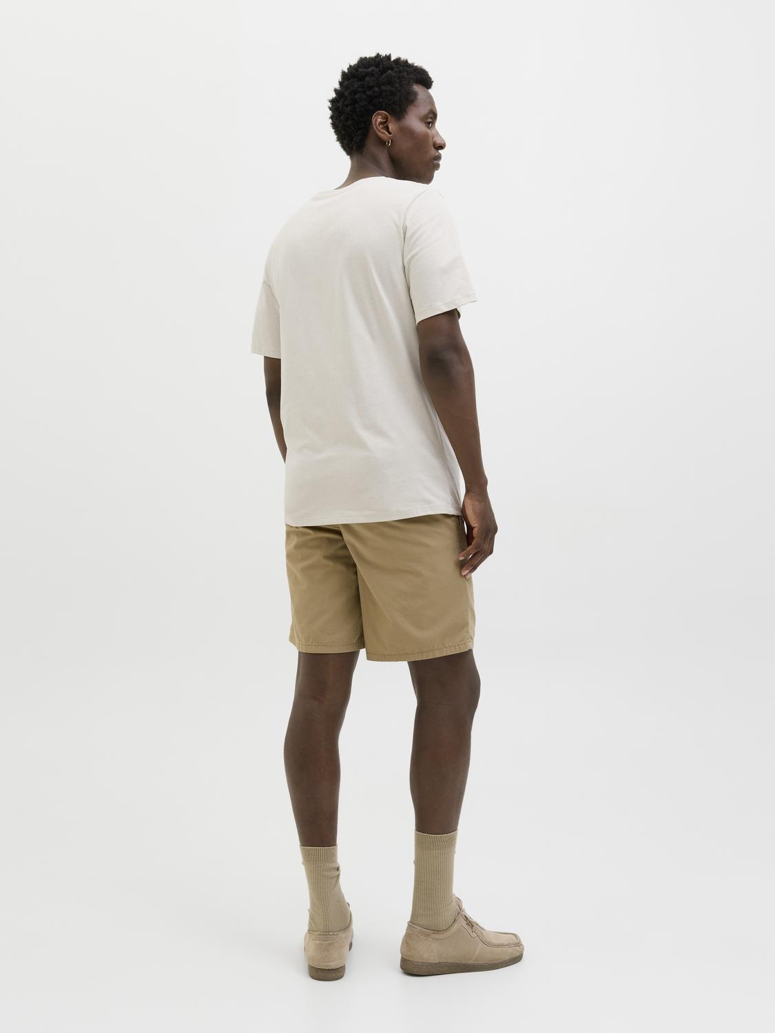 T-shirt JJJAXON Jack&Jones Moonbeam 5