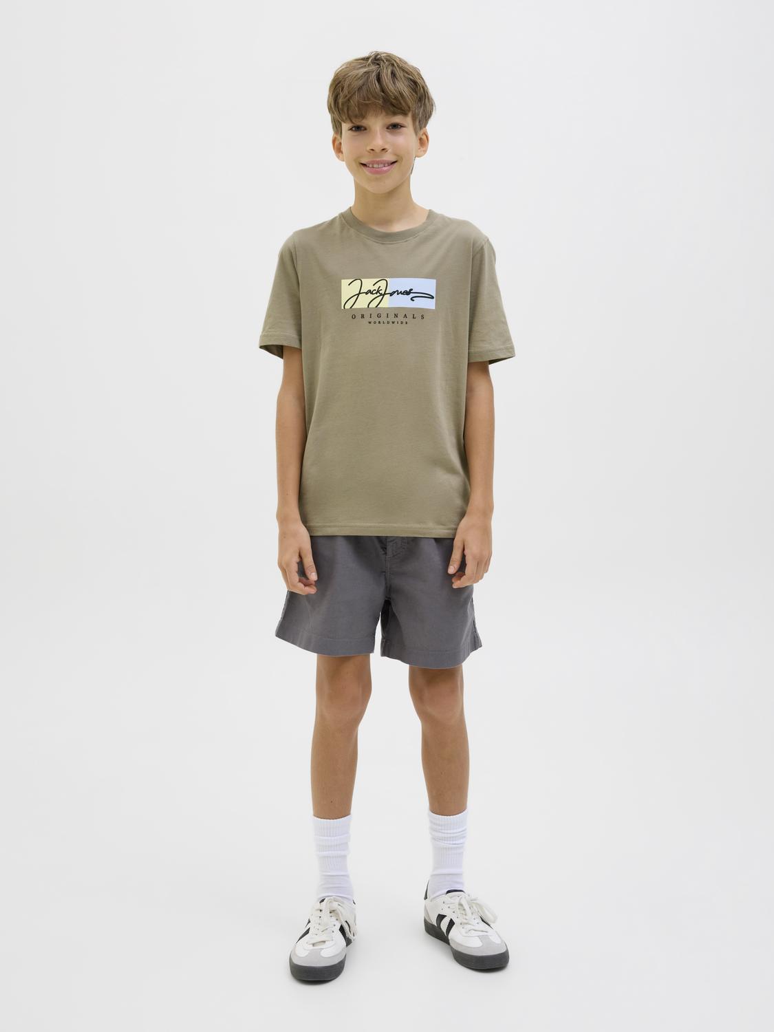 T-shirt JORFREDERIKSBERG Jack&Jones Júnior Silver Sage 4