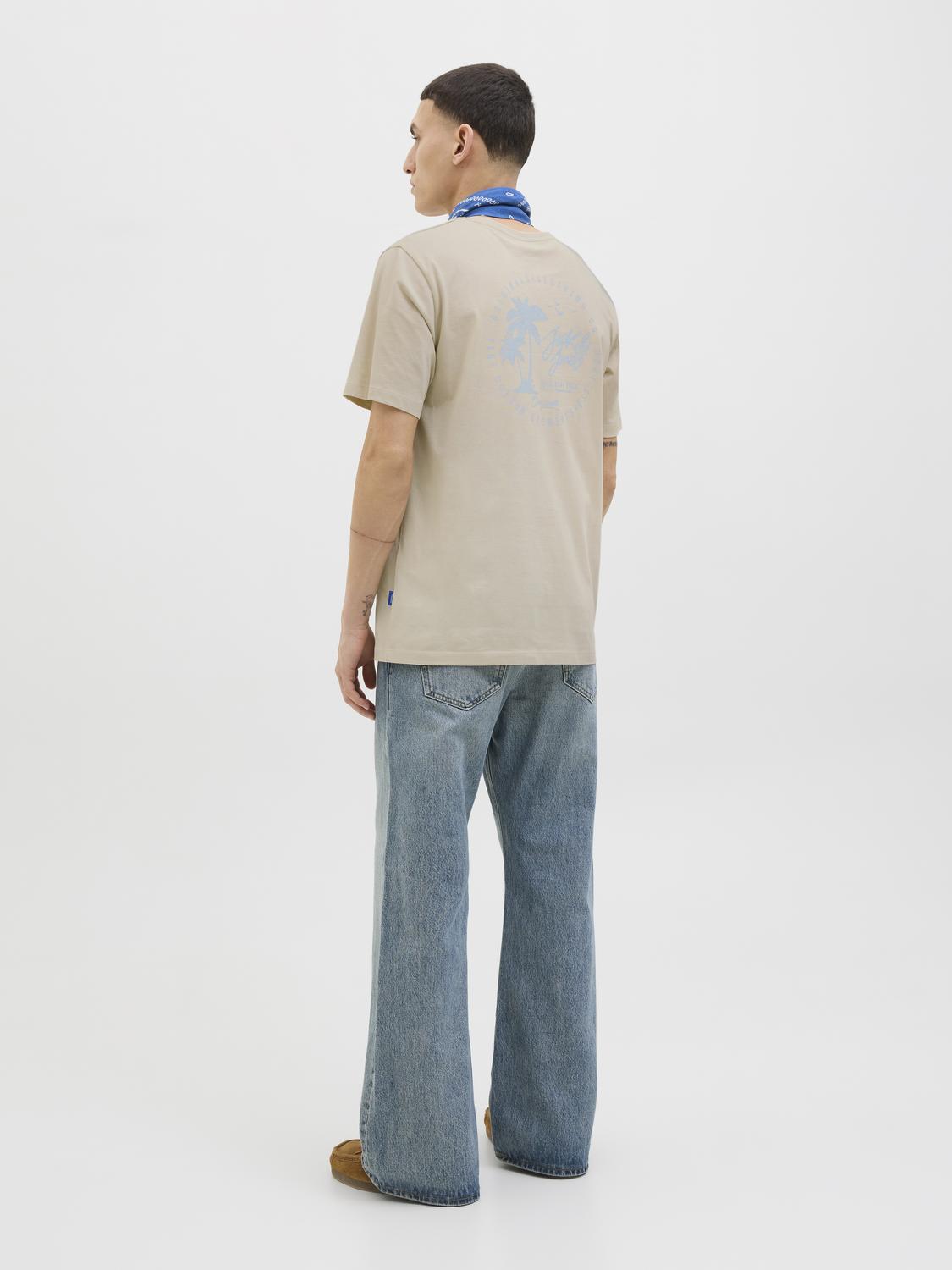 T-shirt JORCIRCLE Jack&Jones Moonbeam 4