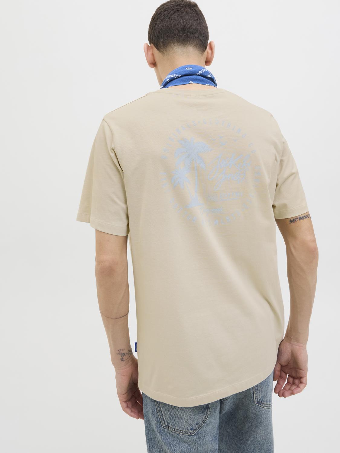 T-shirt JORCIRCLE Jack&Jones Moonbeam 2