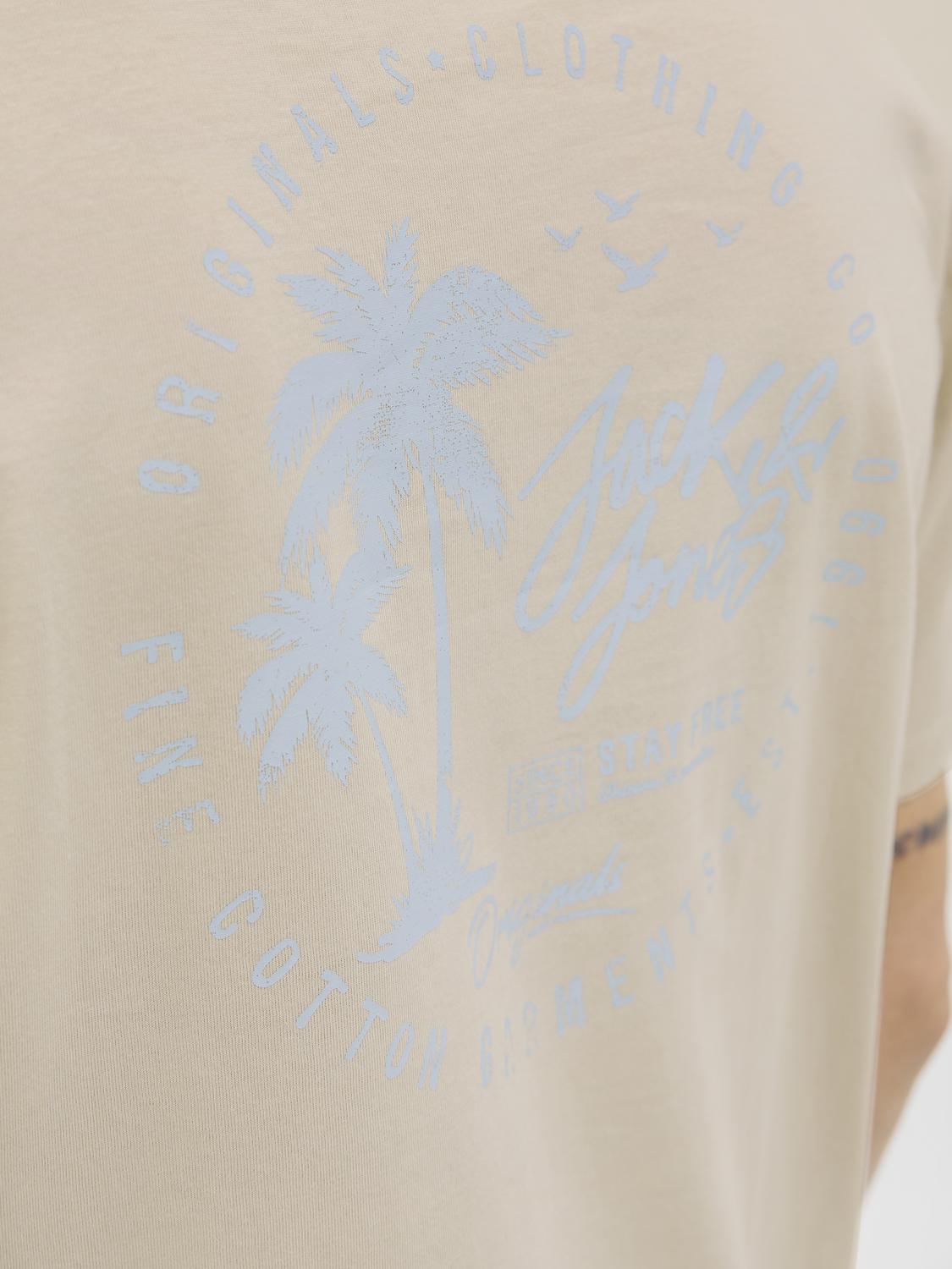 T-shirt JORCIRCLE Jack&Jones Moonbeam 1