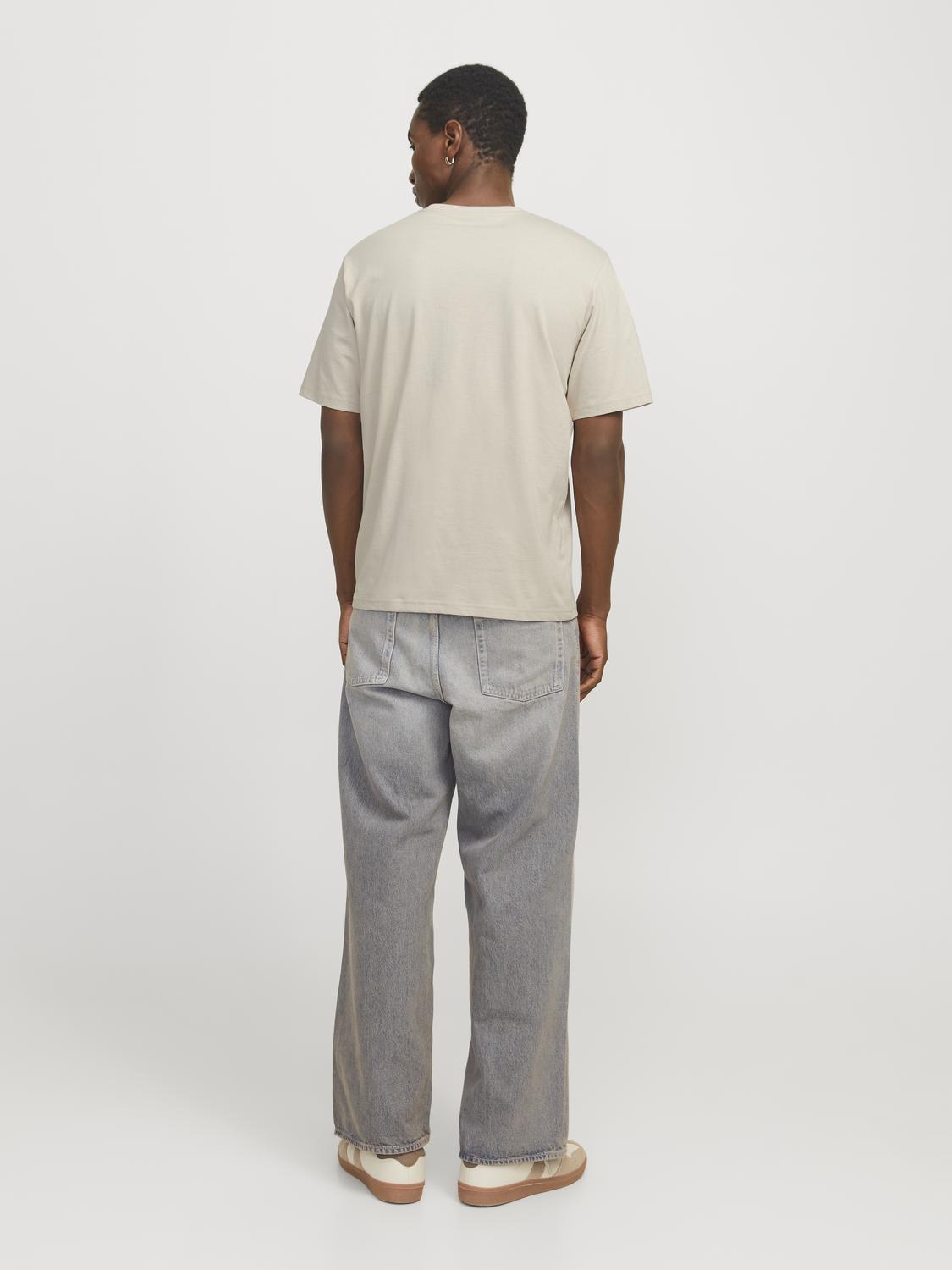 T-shirt JORVESTEBRO Jack&Jones Moonbeam 5