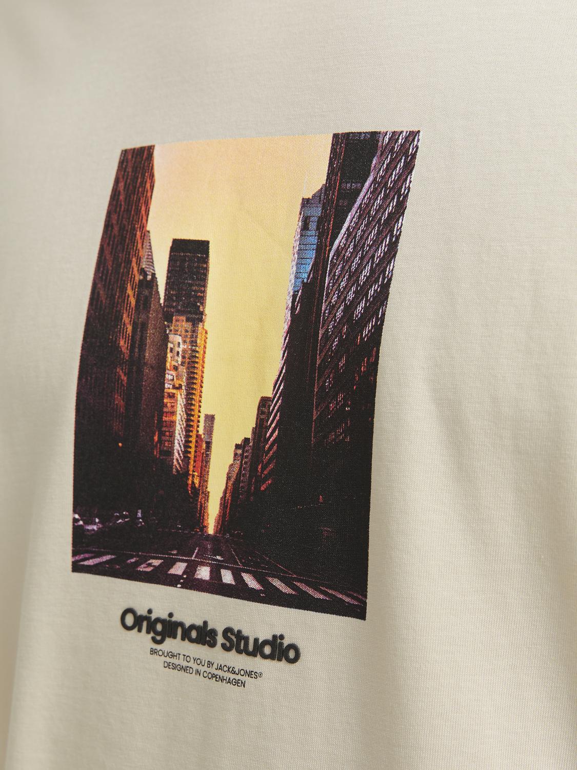 T-shirt JORVESTEBRO Jack&Jones Moonbeam 2