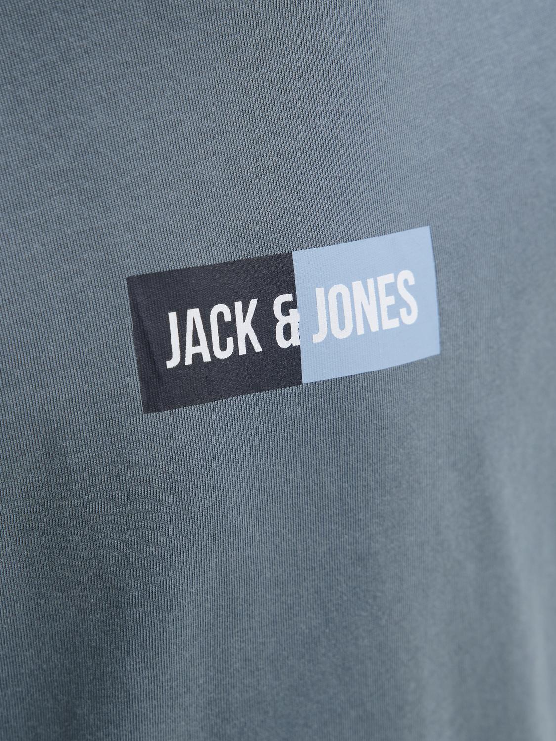 T-shirt JJPAN Jack&Jones Júnior Stormy Weather 2