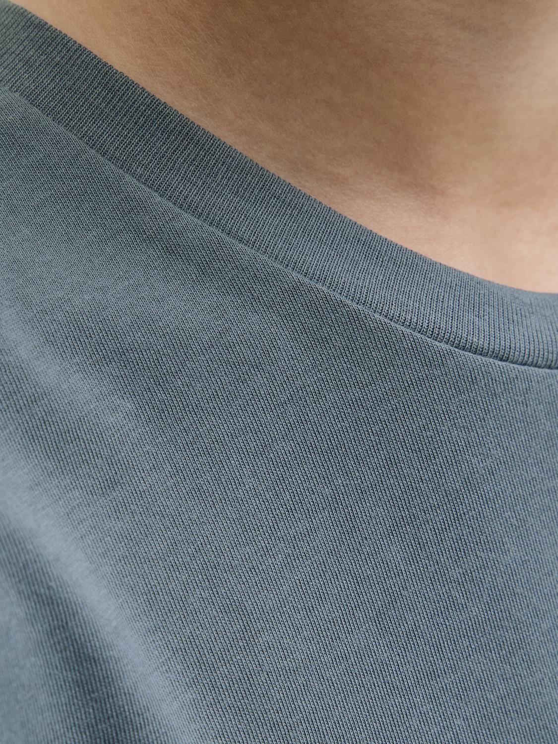 T-shirt JJPAN Jack&Jones Júnior Stormy Weather 3