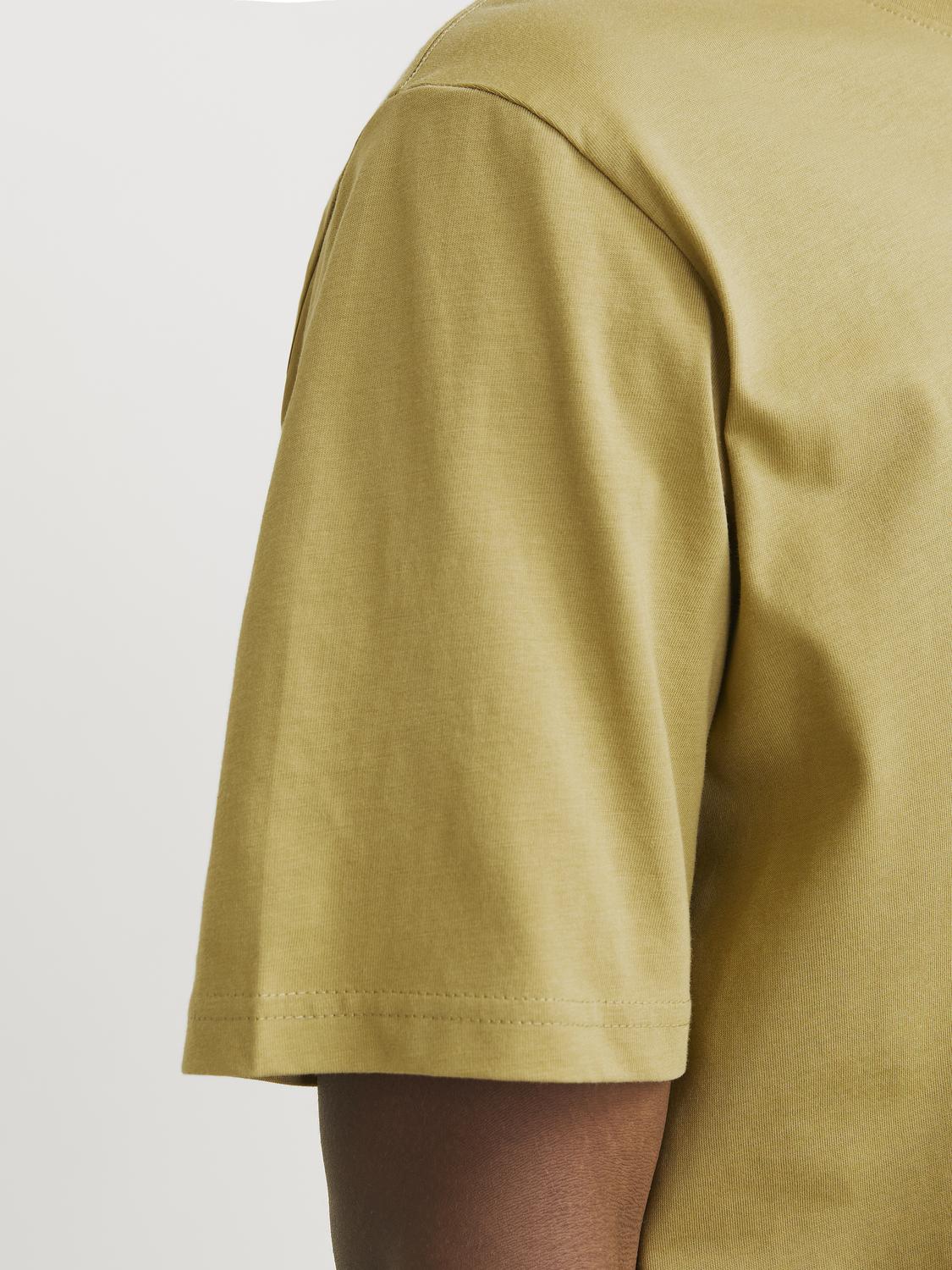 T-shirt JORVESTEBRO Jack&Jones Cedar 2