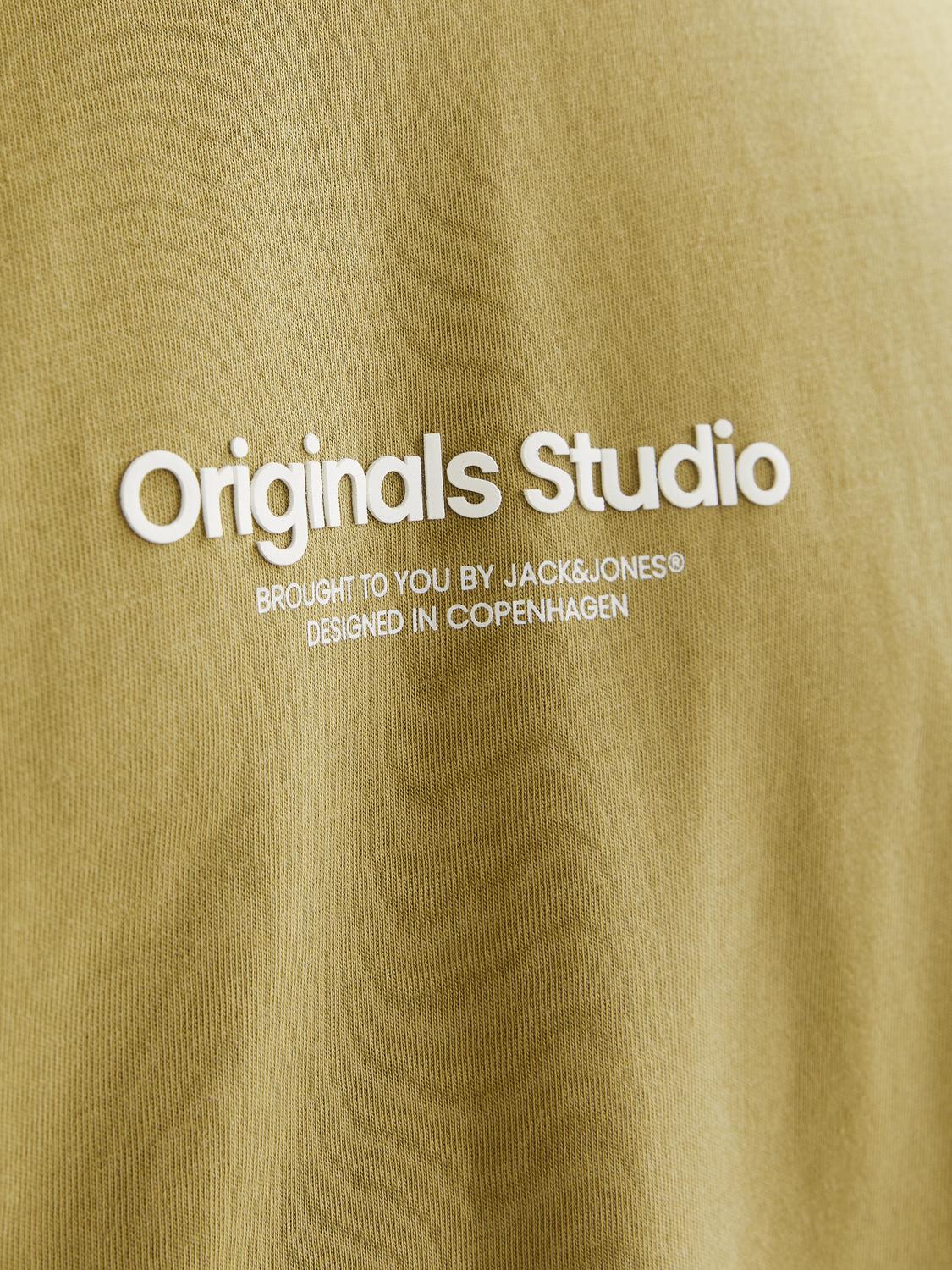 T-shirt JORVESTEBRO Jack&Jones Cedar 3