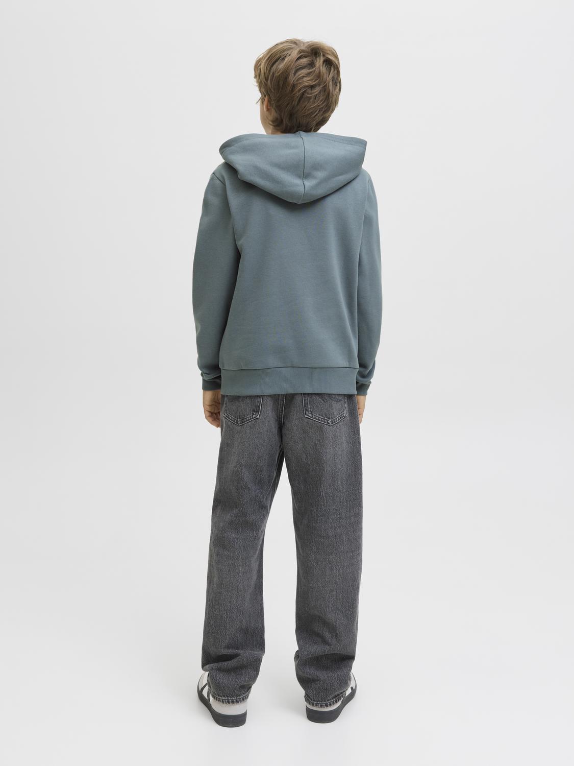 Sweatshirt JJPAN Jack&Jones Júnior Stormy Weather 5