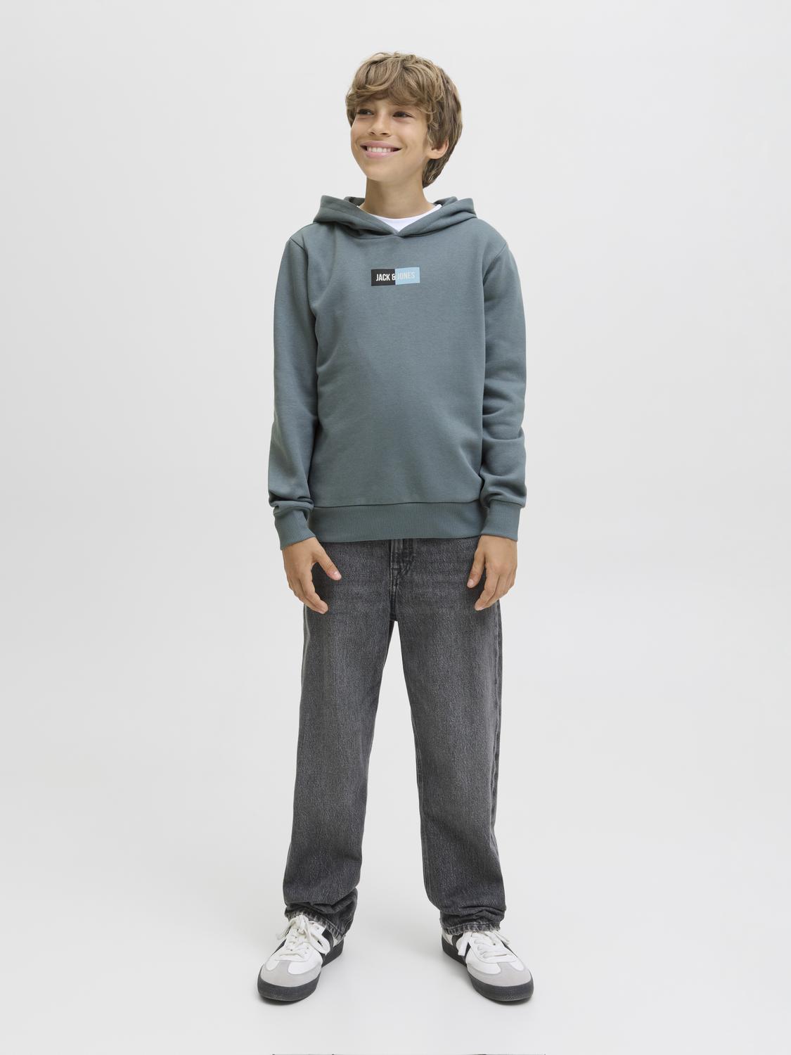Sweatshirt JJPAN Jack&Jones Júnior Stormy Weather 4