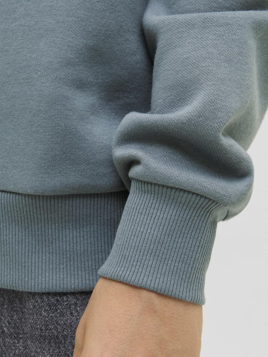 Sweatshirt JJPAN Jack&Jones Júnior Stormy Weather 2