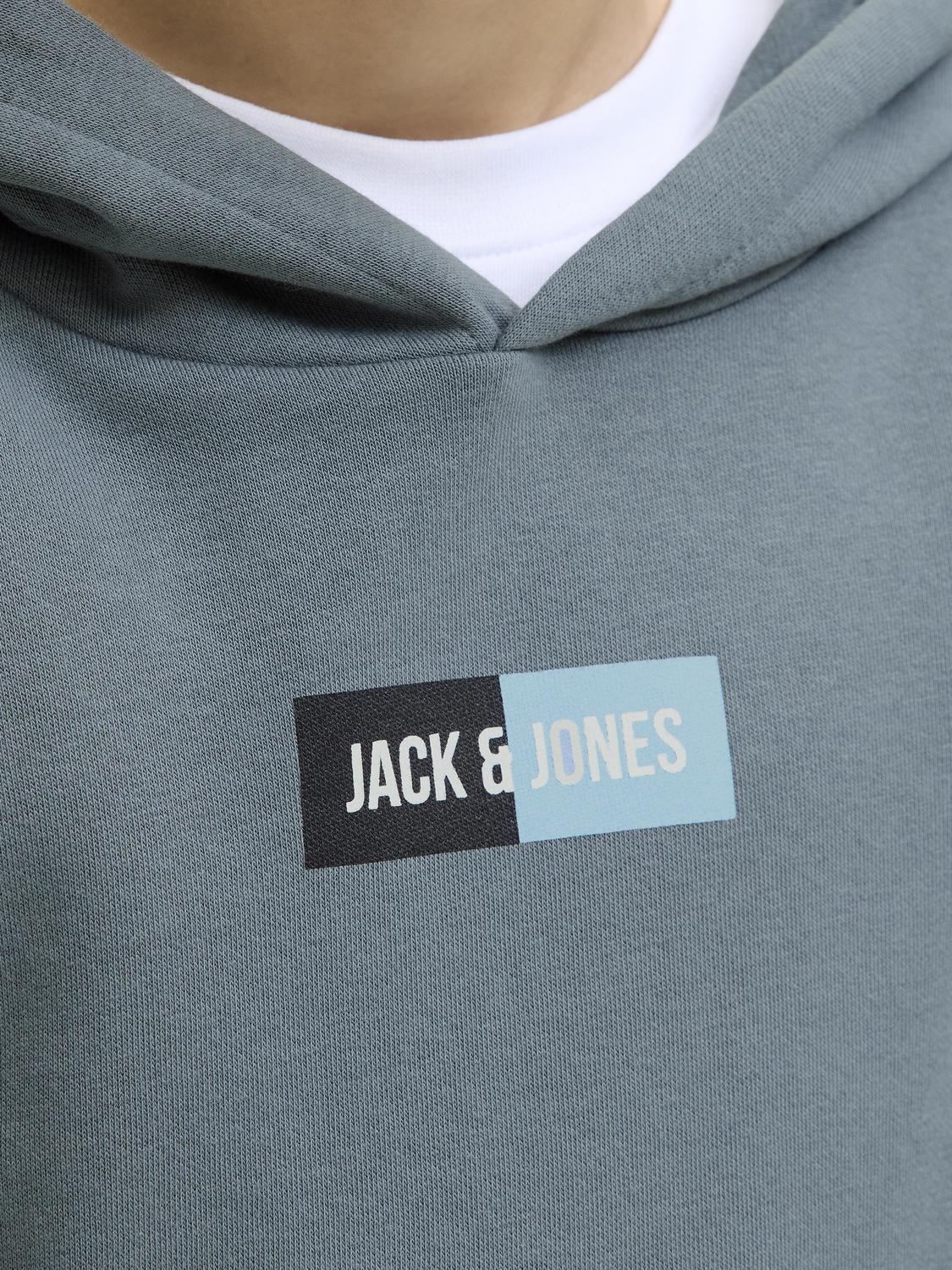 Sweatshirt JJPAN Jack&Jones Júnior Stormy Weather 3