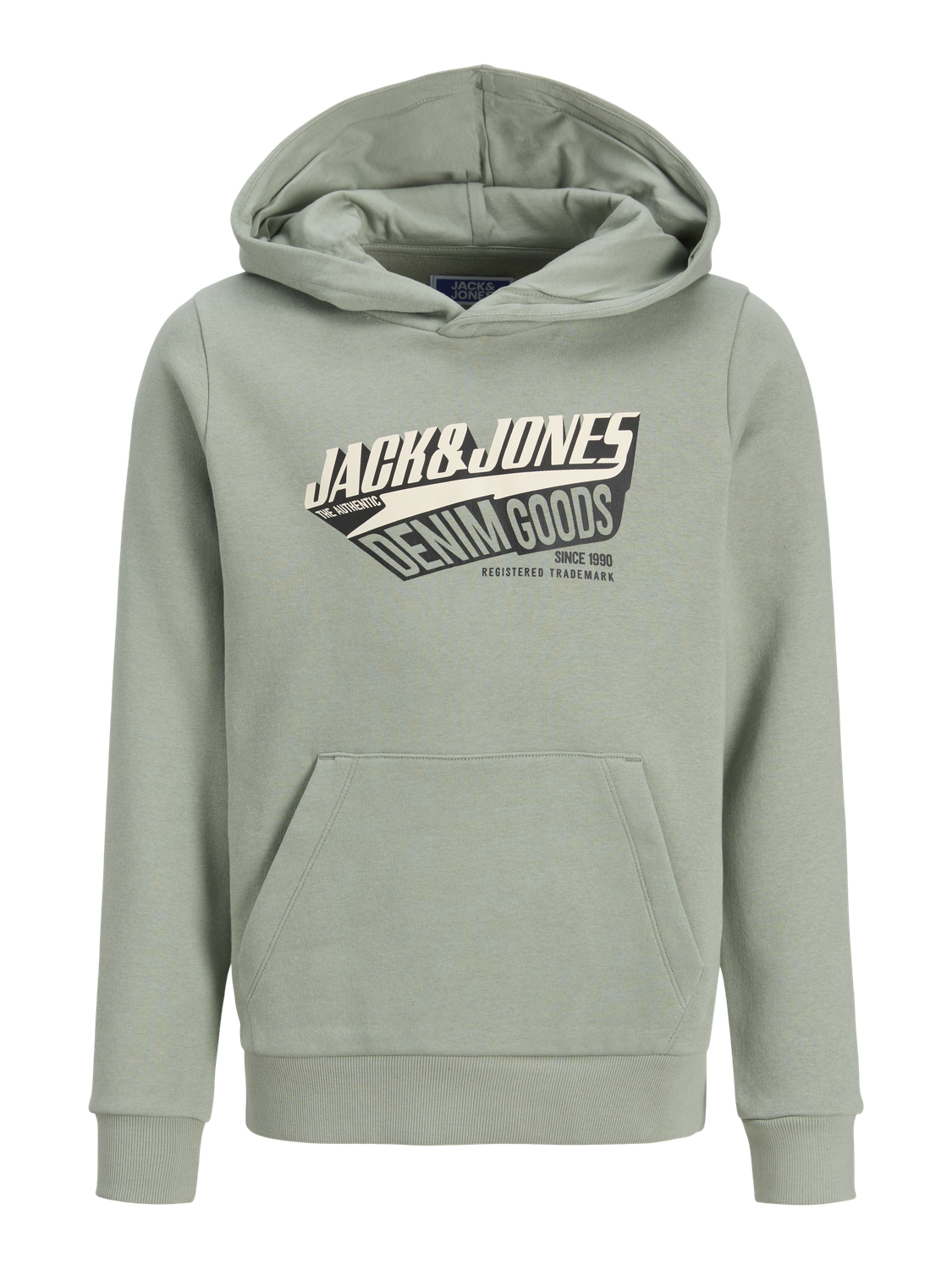 Sweatshirt JJELOGO Jack&Jones Júnior Iceberg Green 5