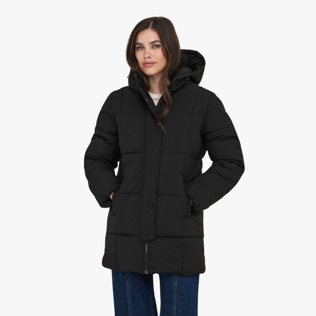 Quispo JDYWONDER JDY