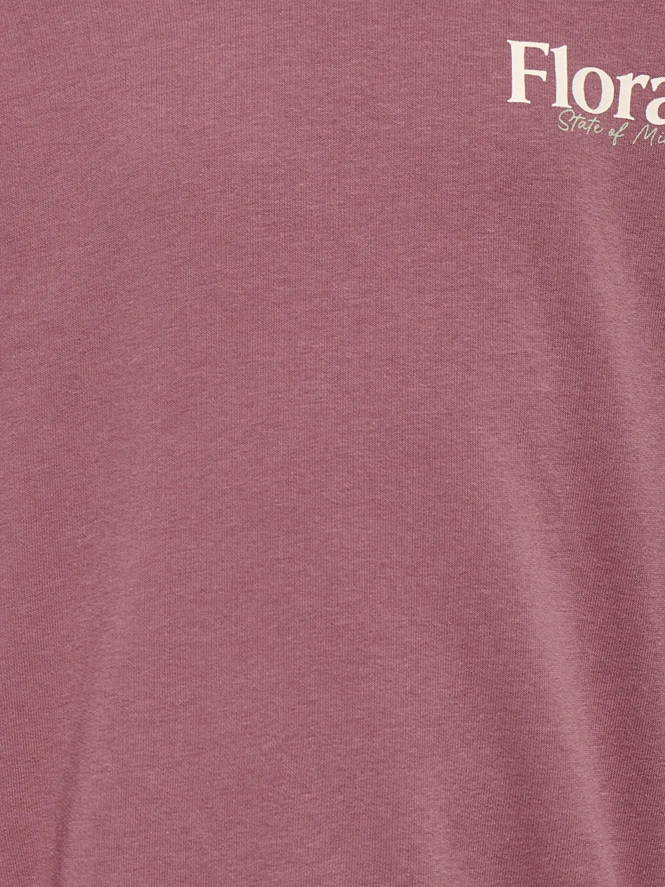 Camisola GEORGIA Only Kids Rose Brown 5