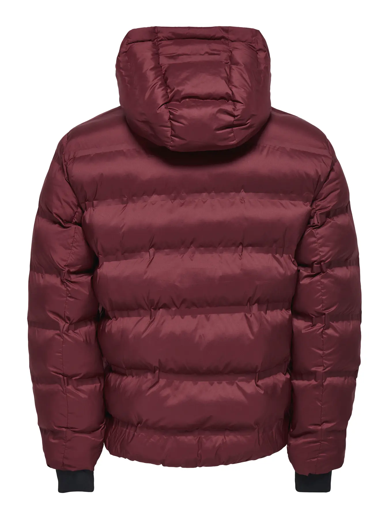 Quispo UNION Only&Sons Cabernet 1