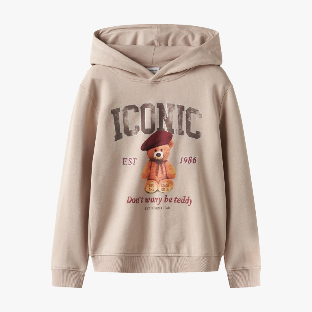 Hoodie FRYCCA Name It Cement 0