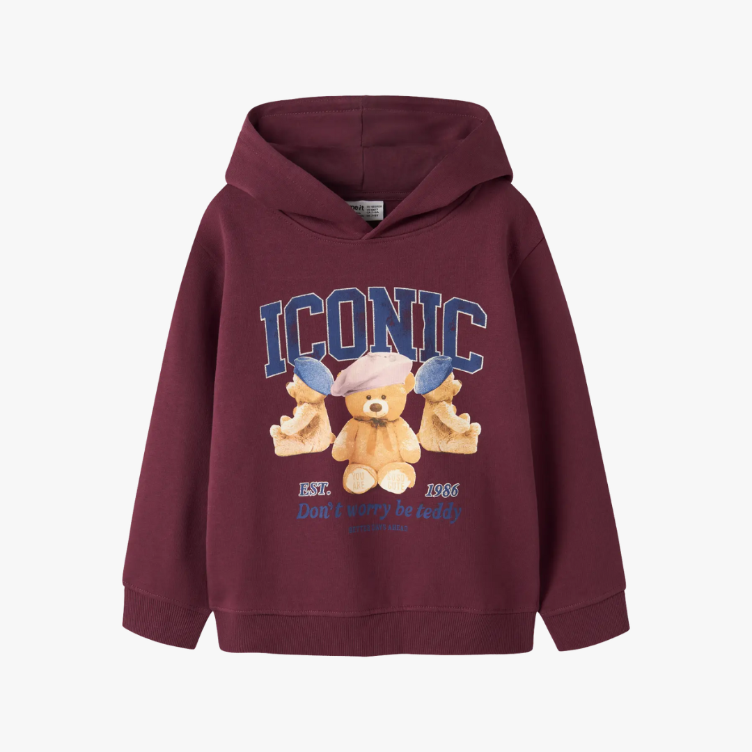 Hoodie FRYCCA Name It Burgundy 0