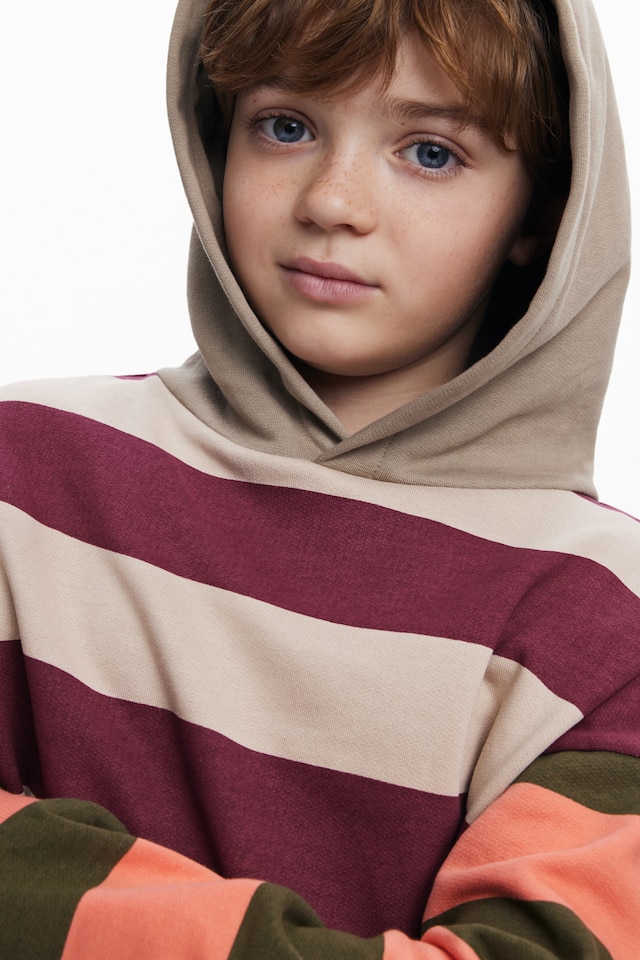 Hoodie LOGAN Desigual Red 2