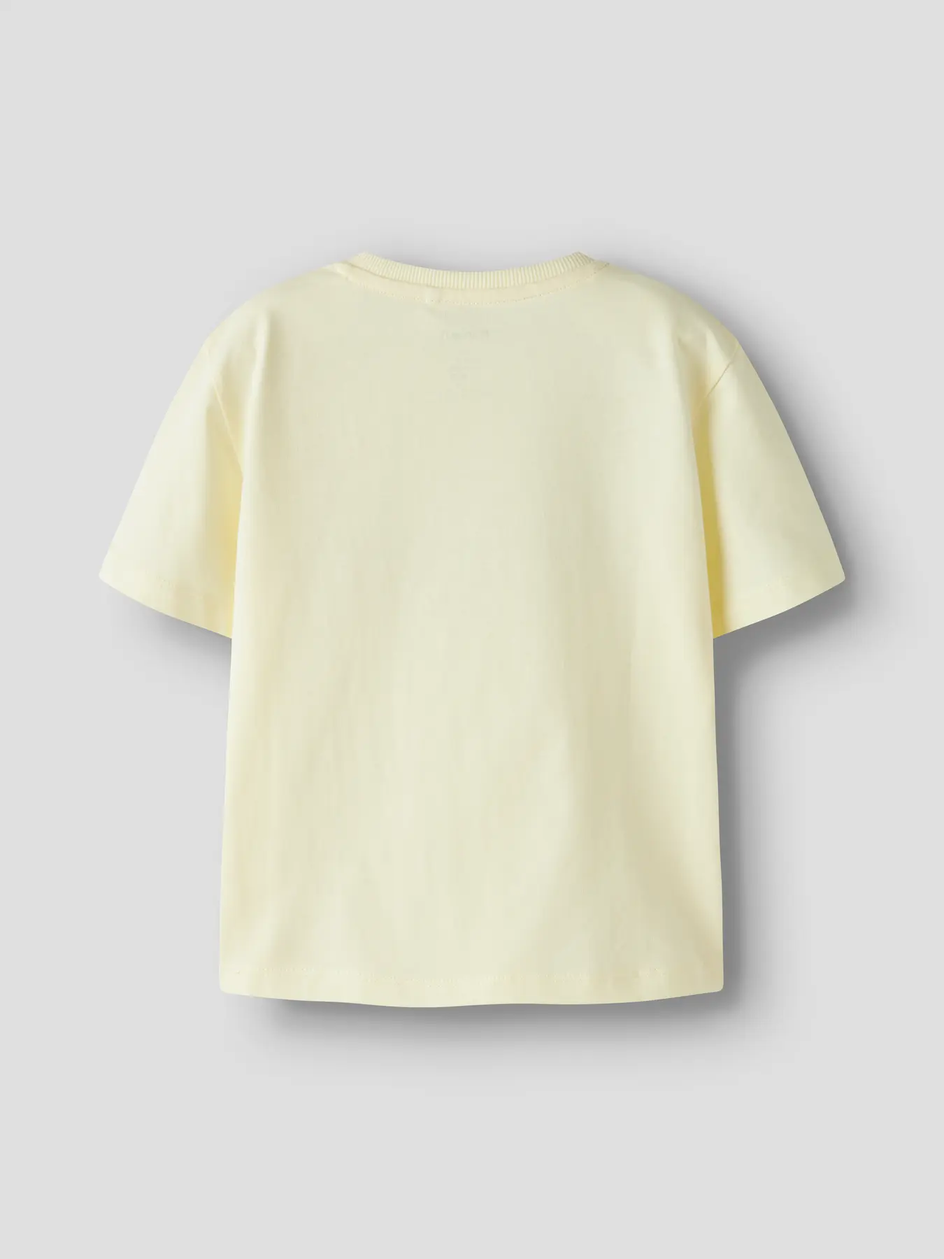 T-shirt VICTOR Name It Pear Sorbet 2