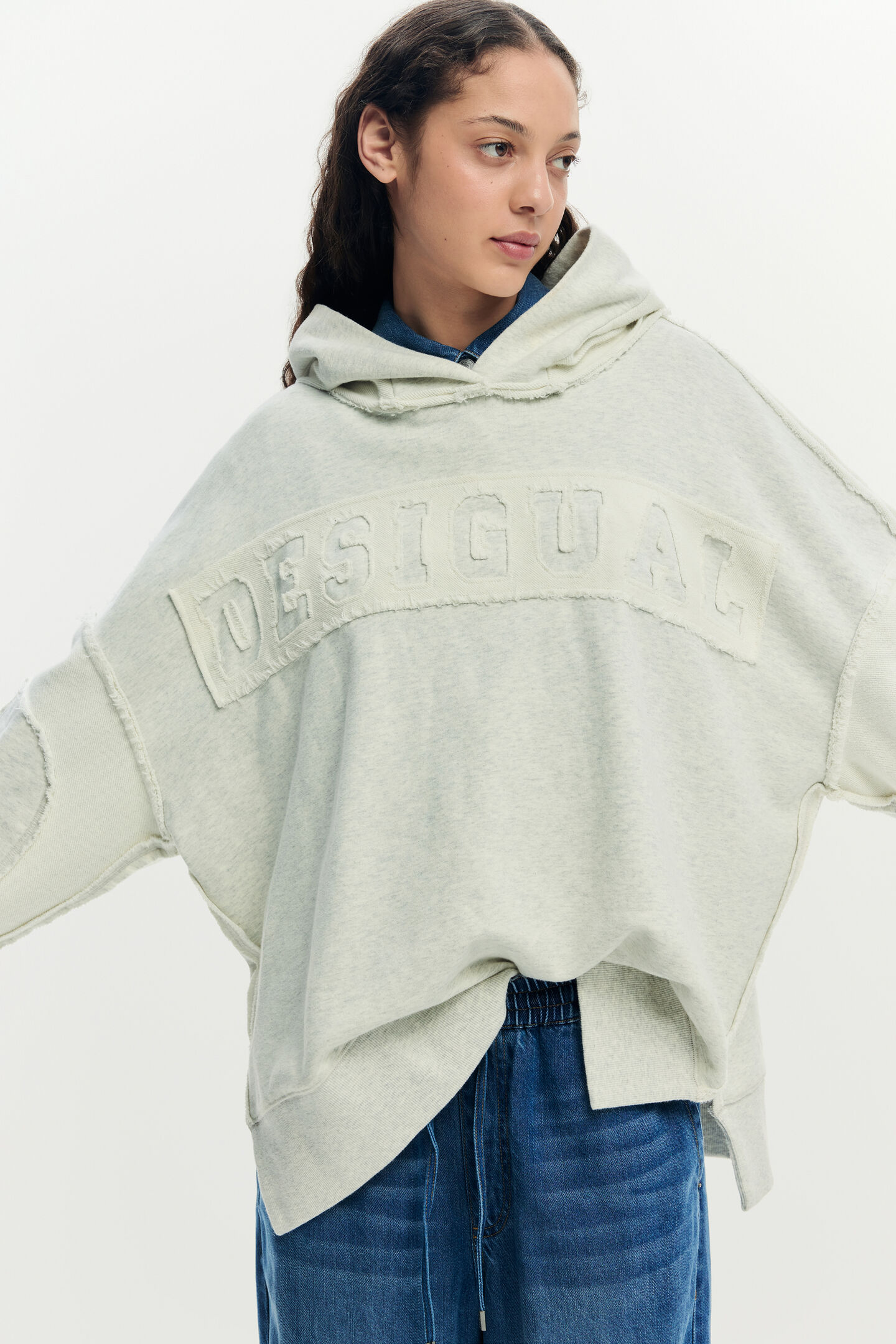 Sweatshirt LIAM Desigual Light Gray 3
