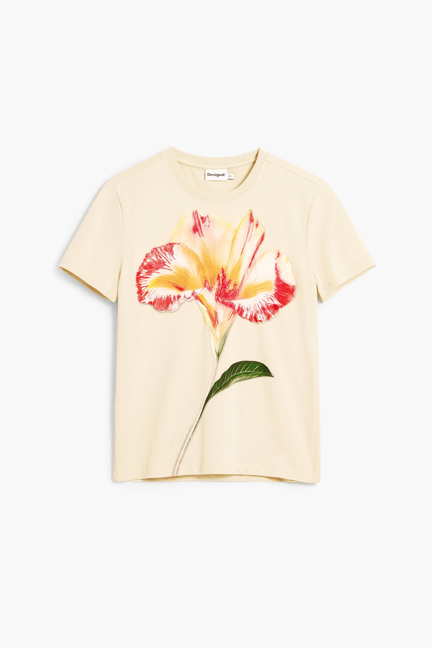 T-shirt ESTOCOLMO Desigual Crude 2