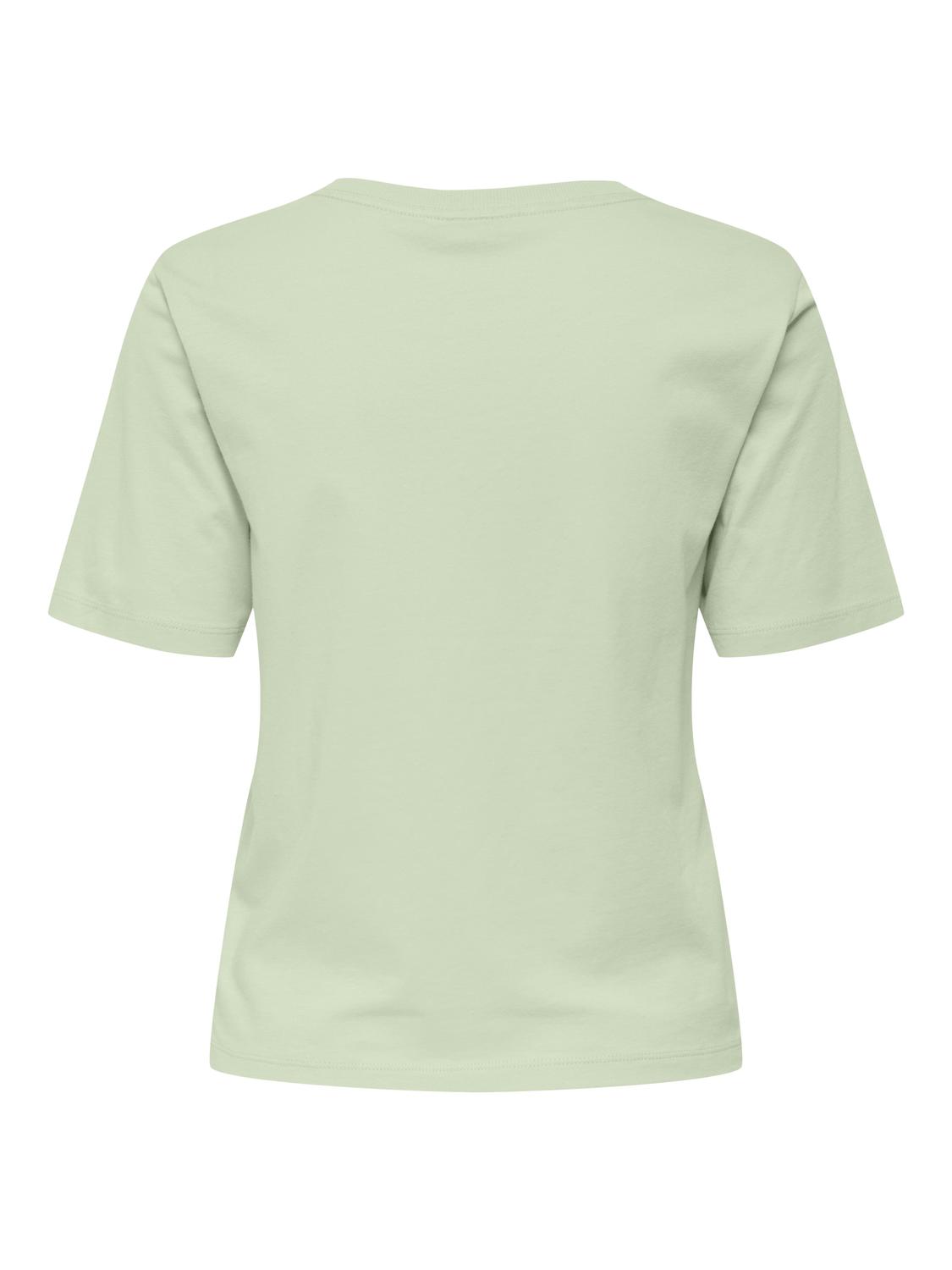 T-shirt REX JDY Meadow Mist 0