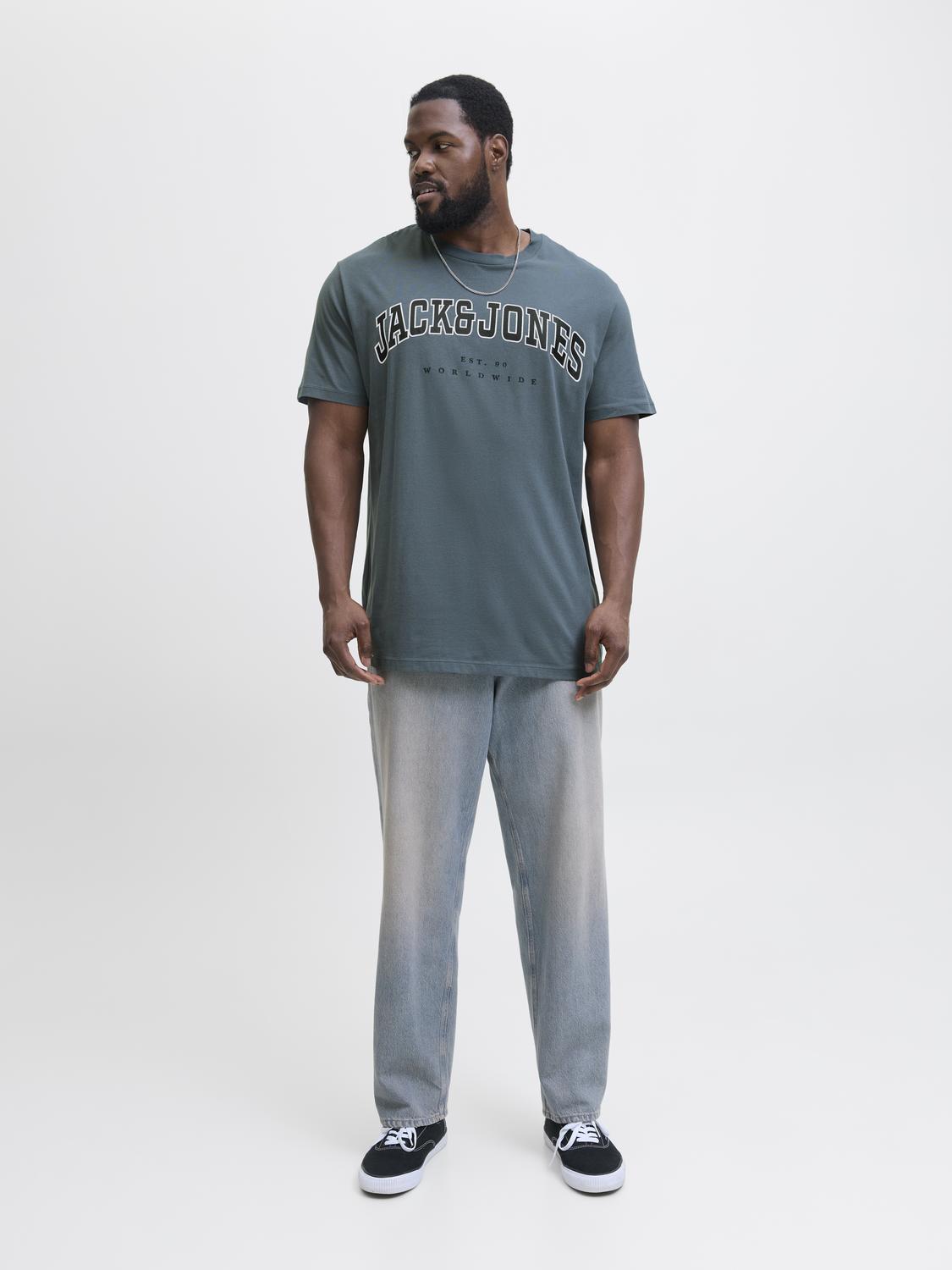 T-shirt CALEB Jack&Jones Stormy Weather 4