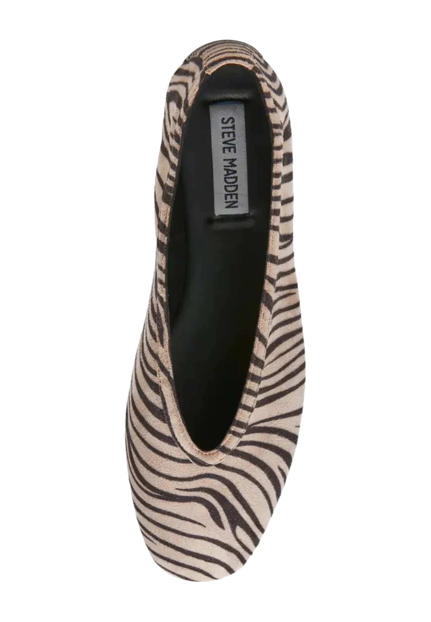 Sabrinas LENI-A Steve Madden Zebra 2