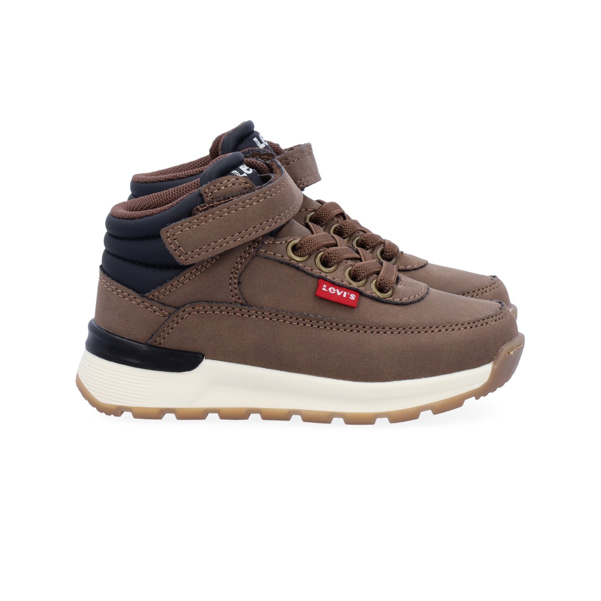 Sapatilhas ASCOT Levi's Brown 6