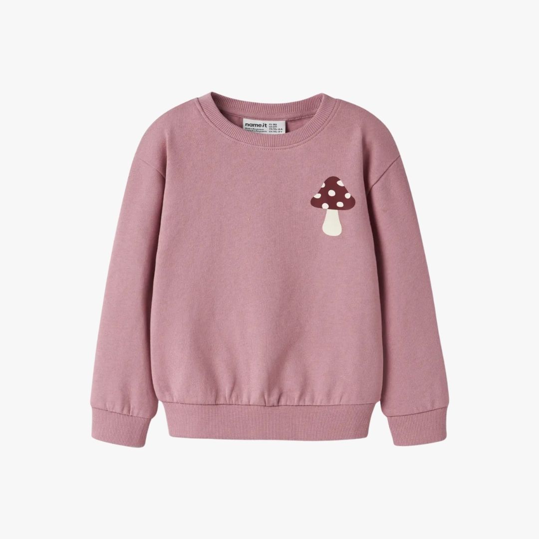 Camisola VASACHA Name It Lilas Mushroom