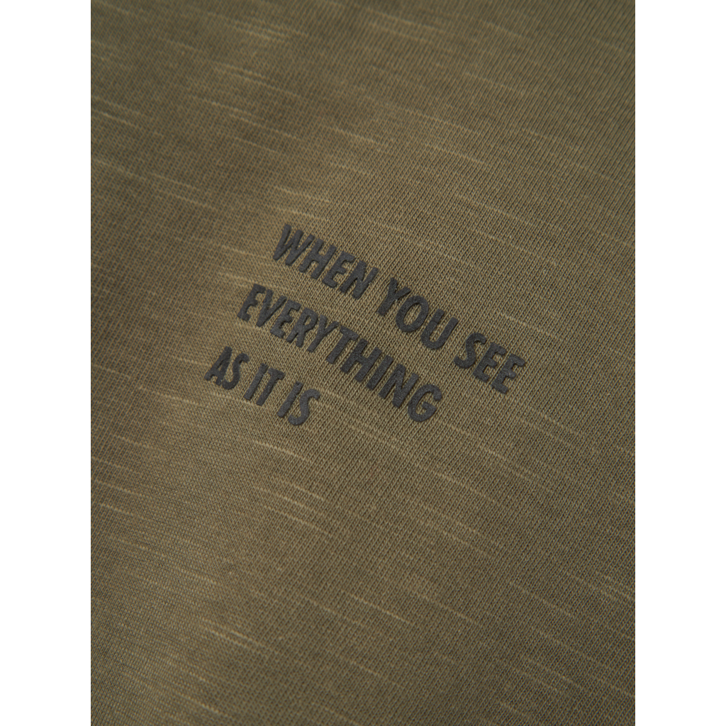 T-shirt NKMNASERNE Name It 1