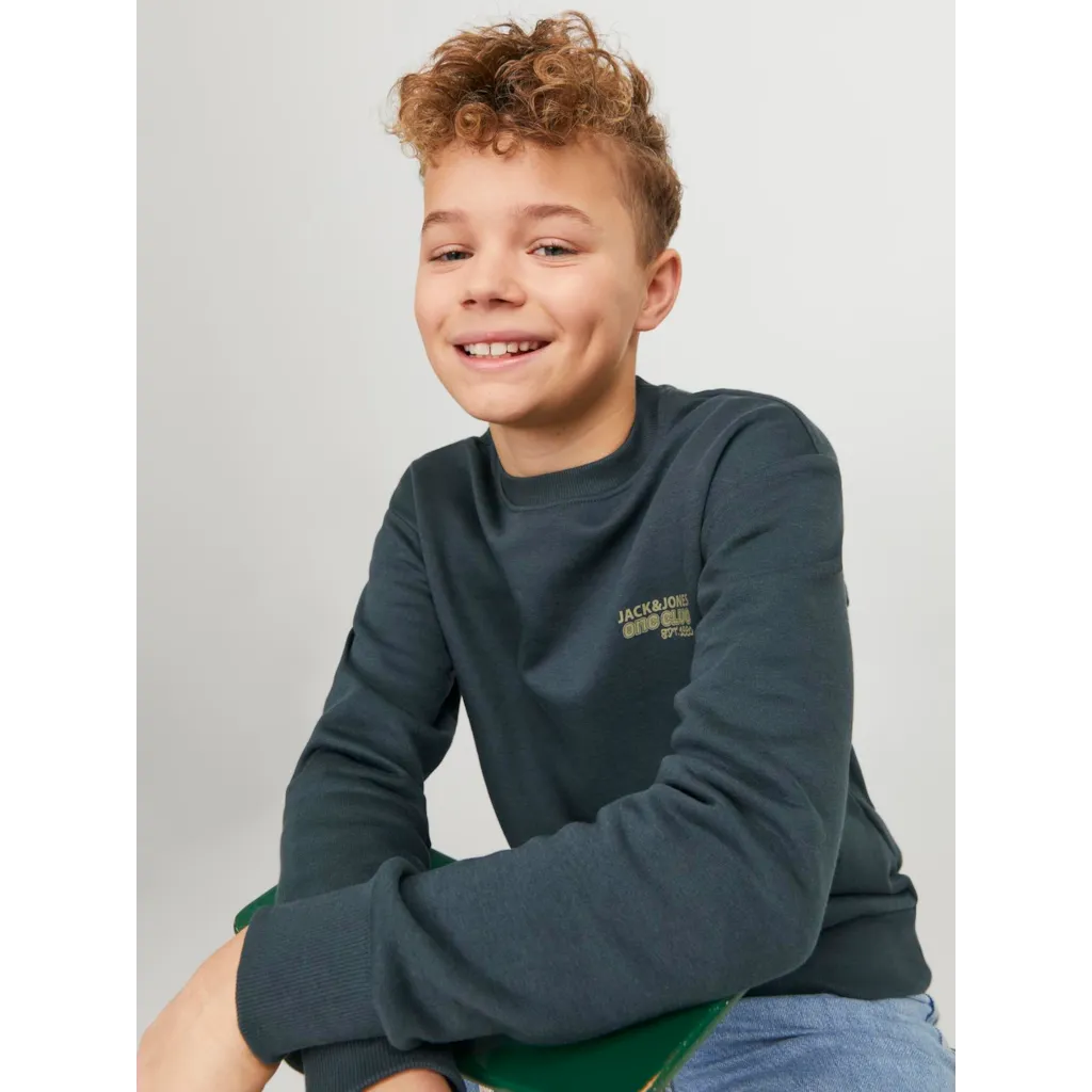 Sweatshirt JORCOLLECT Jack&Jones 1