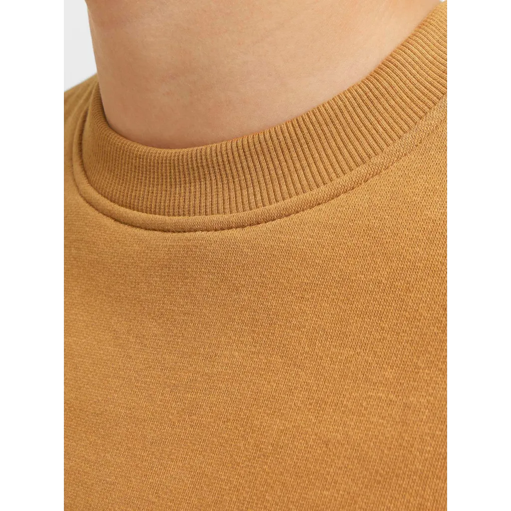 Sweatshirt JORCOLLECT Jack&Jones 2