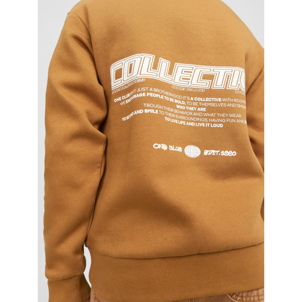 Sweatshirt JORCOLLECT Jack&Jones 3
