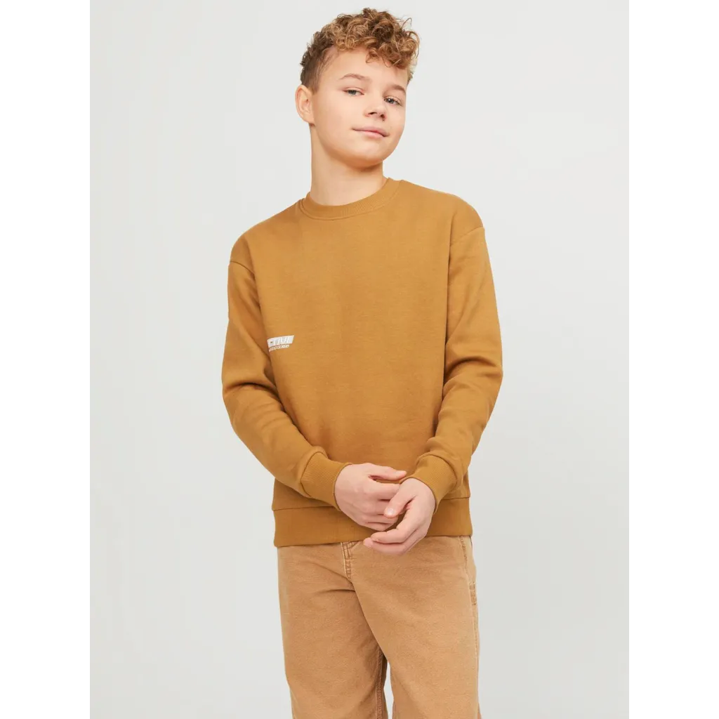 Sweatshirt JORCOLLECT Jack&Jones 1