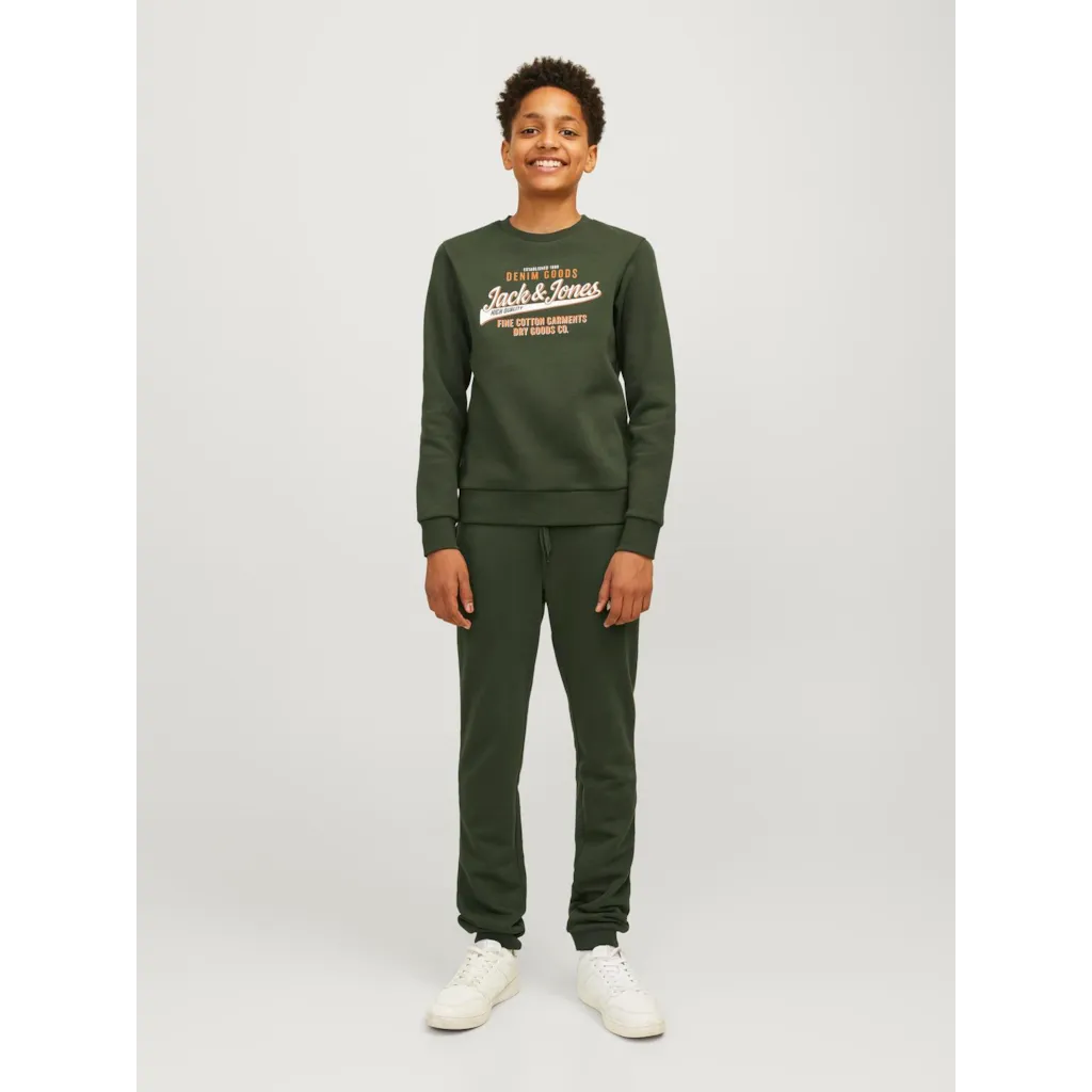 Sweat JJELOGO Jack&Jones 4