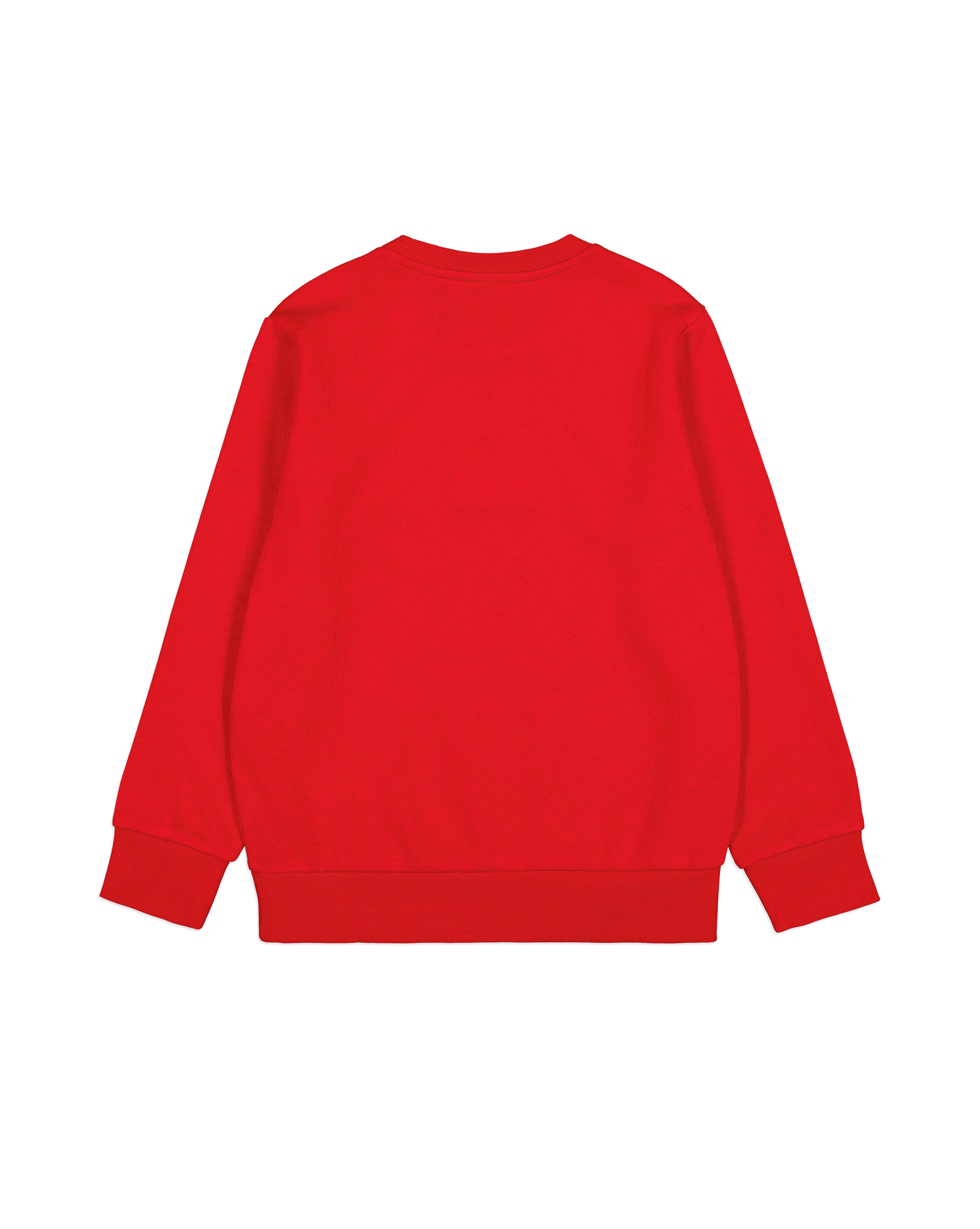 Sweatshirt BIG LOGO Champion RS011 2