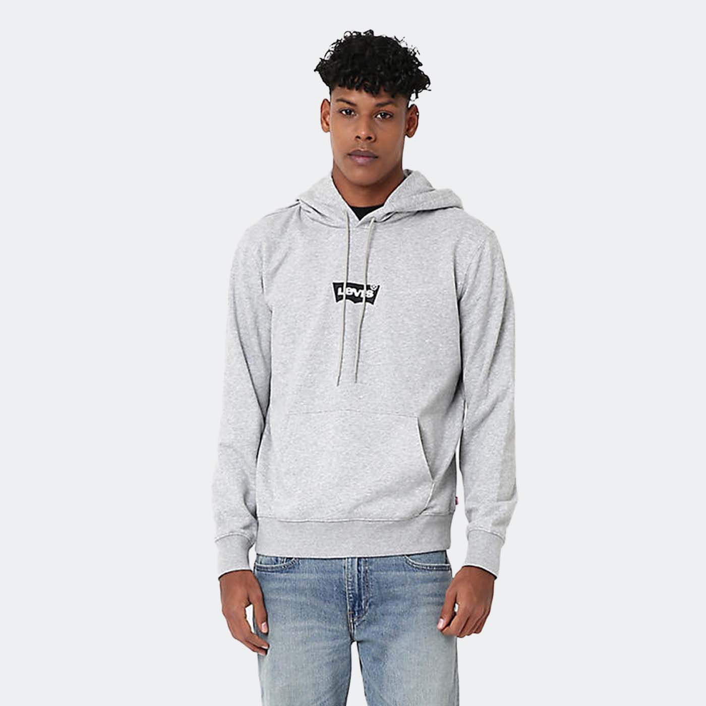 Sweatshirt STANDARD GRAPHIC Levi's Grey 0