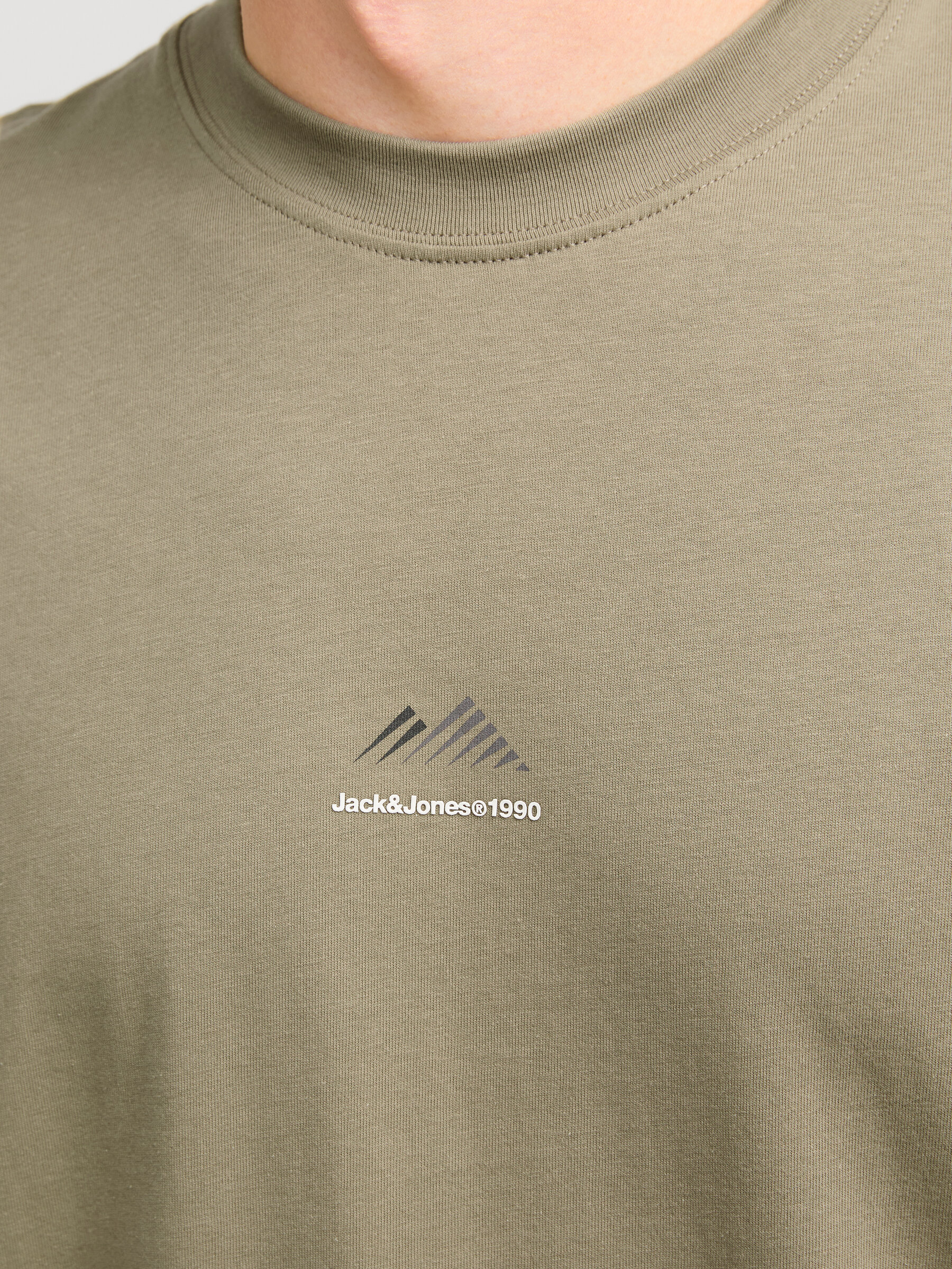 T-shirt JCOLIMA Jack&Jones Silver Sage 1