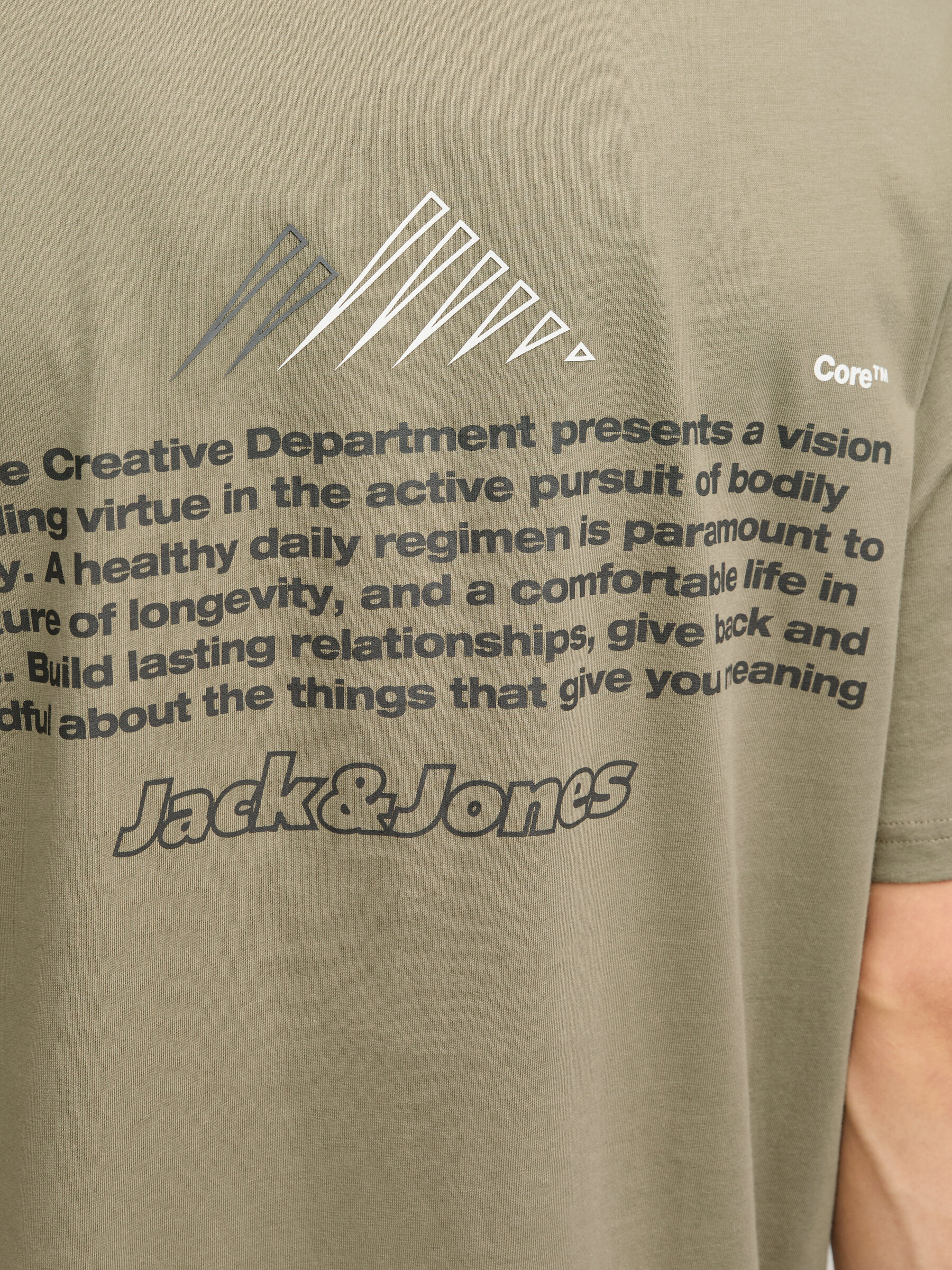 T-shirt JCOLIMA Jack&Jones Silver Sage 3