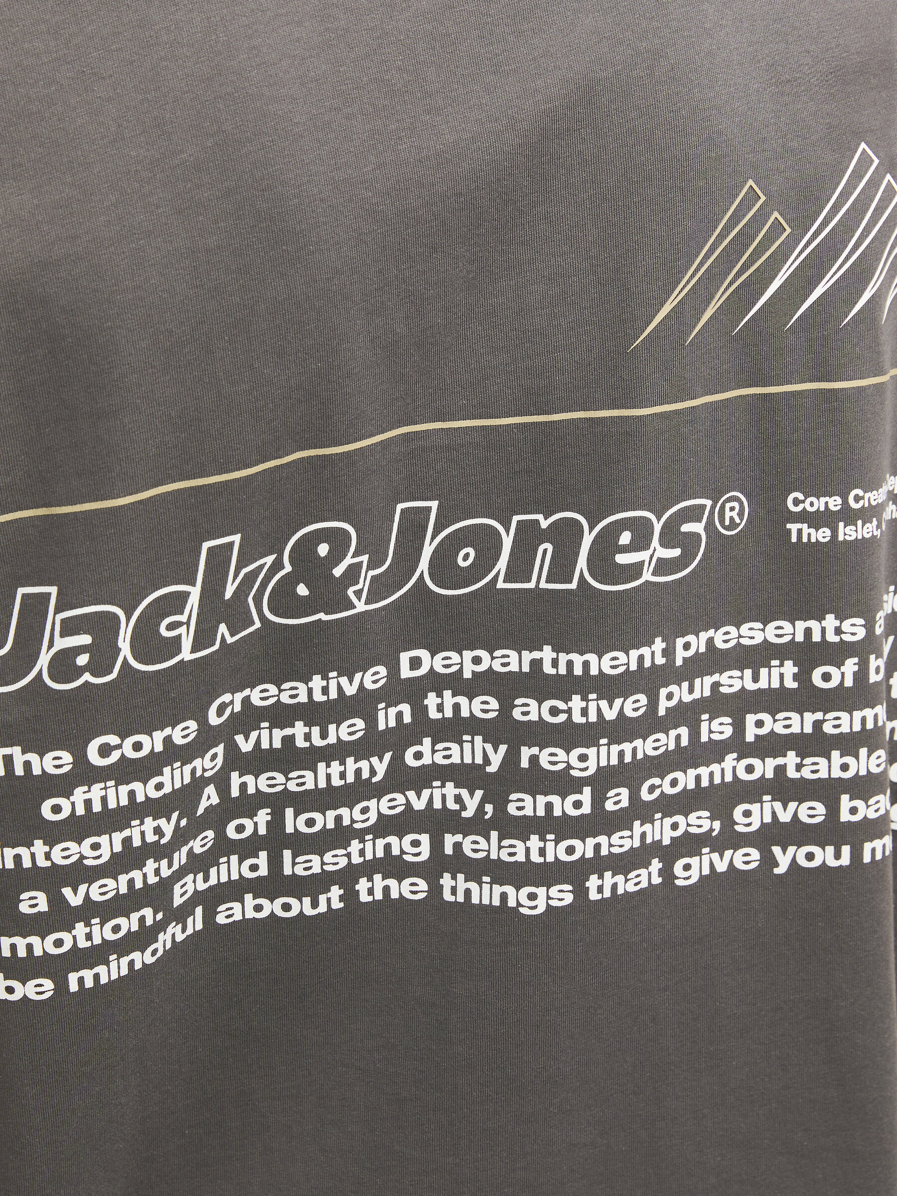 T-shirt JCOLIMA Jack&Jones Pavement 3