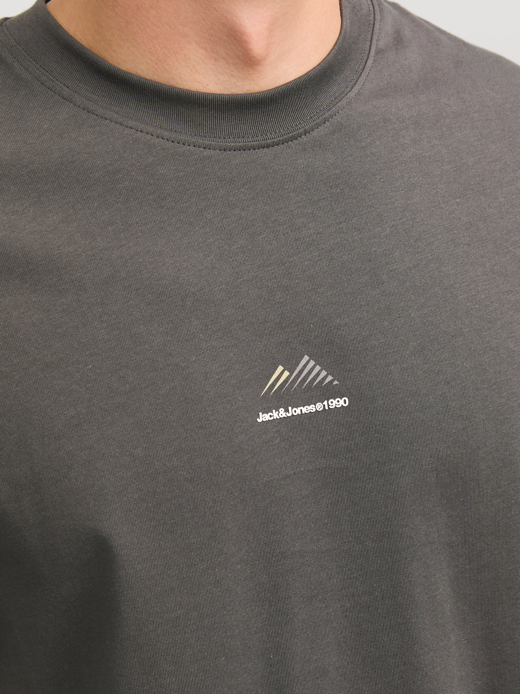 T-shirt JCOLIMA Jack&Jones Pavement 1