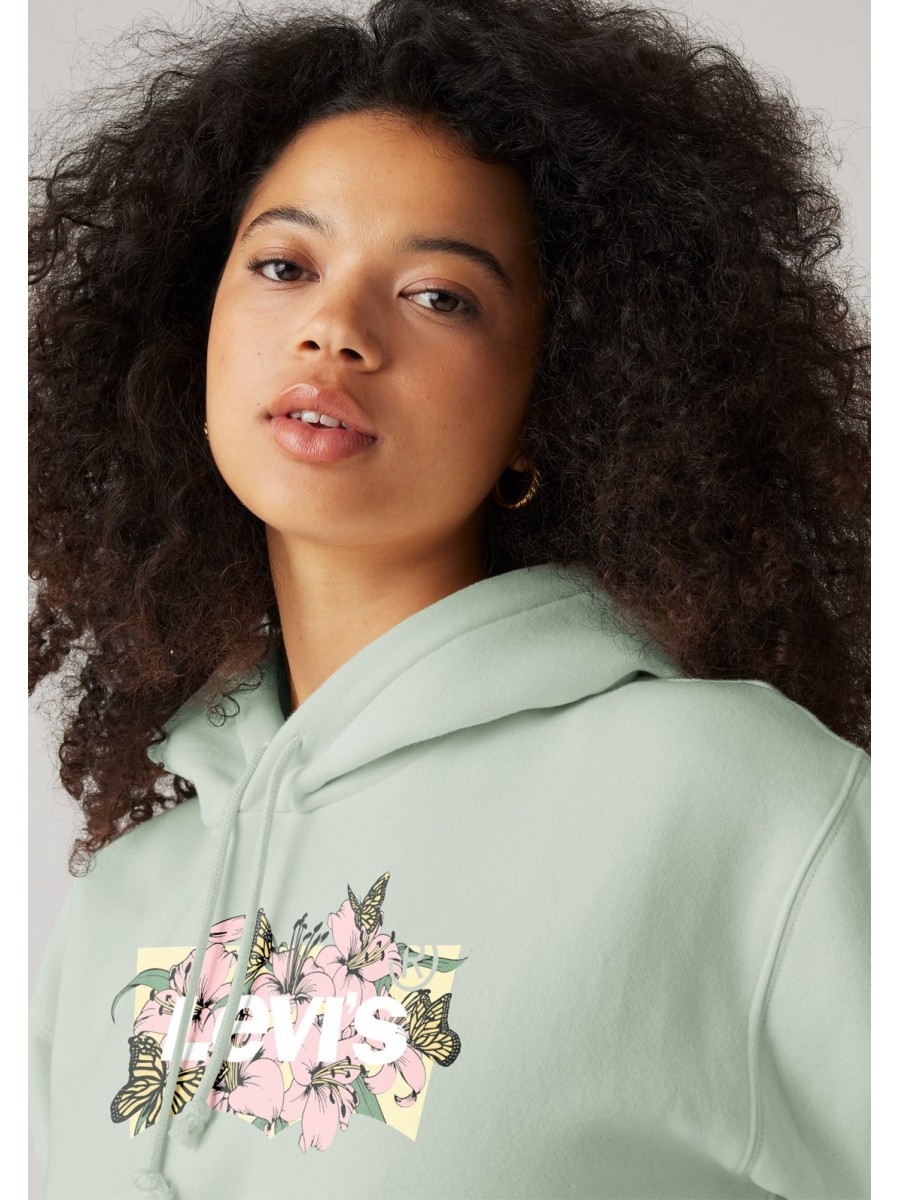 Sweatshirt EVERYDAY HOODIE Levi's Silt Green 1
