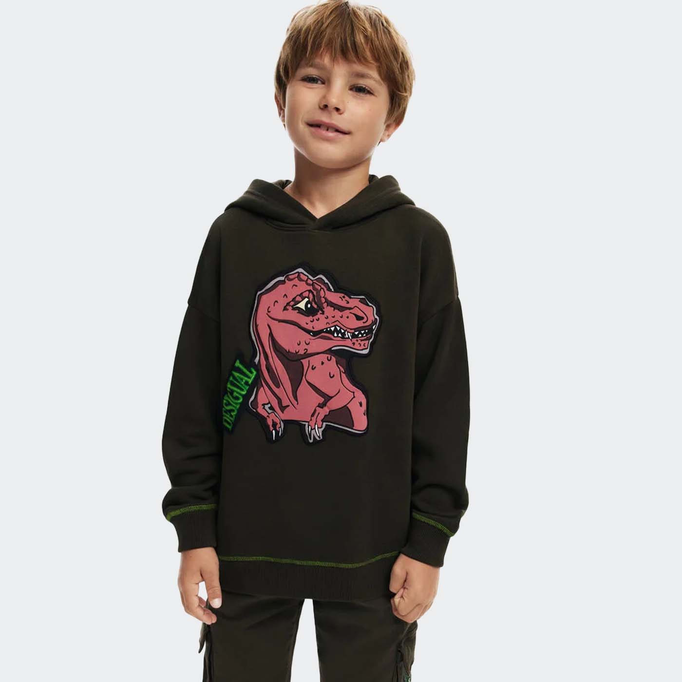 Sweatshirt AMIR Desigual 4092 0